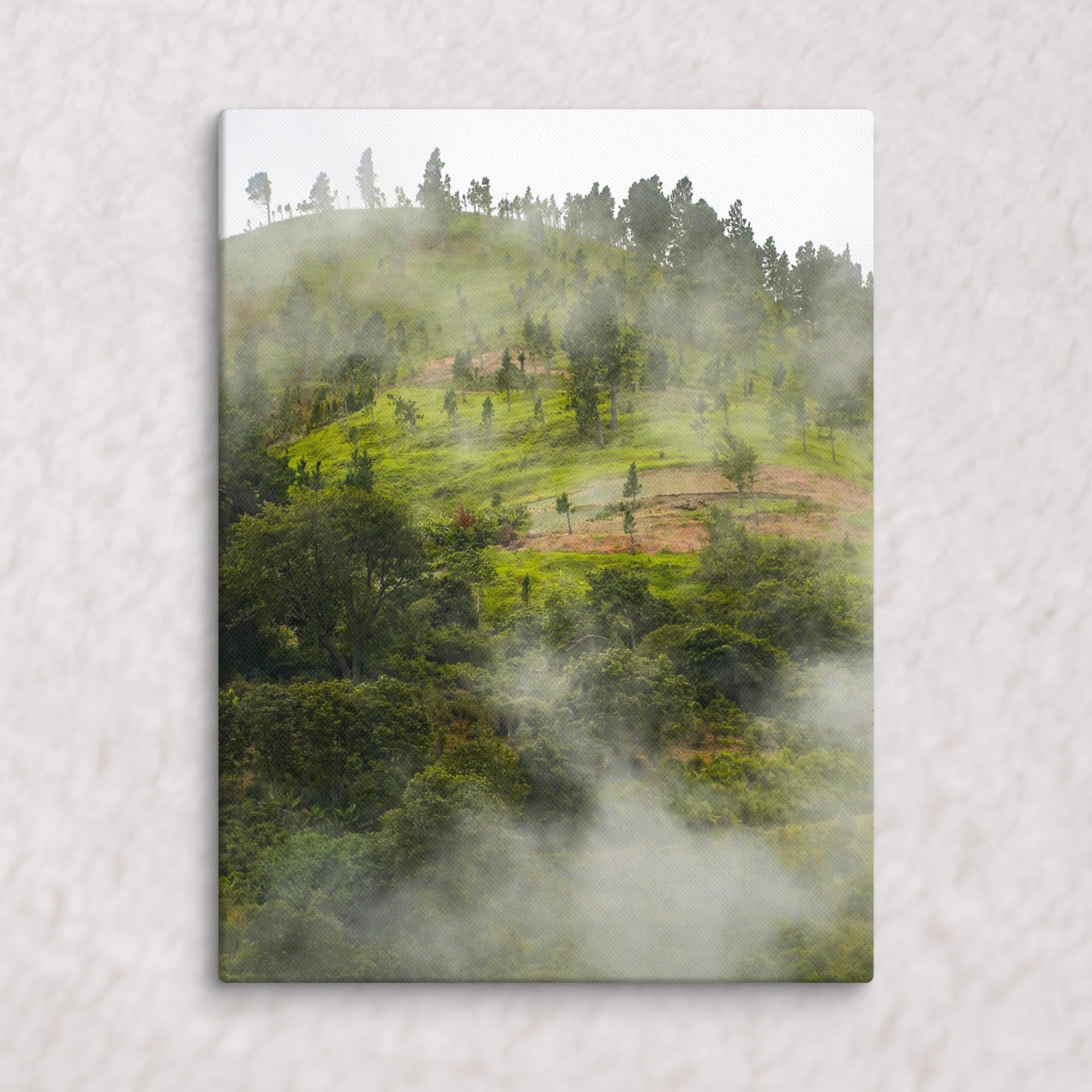 Whispers of the Hill