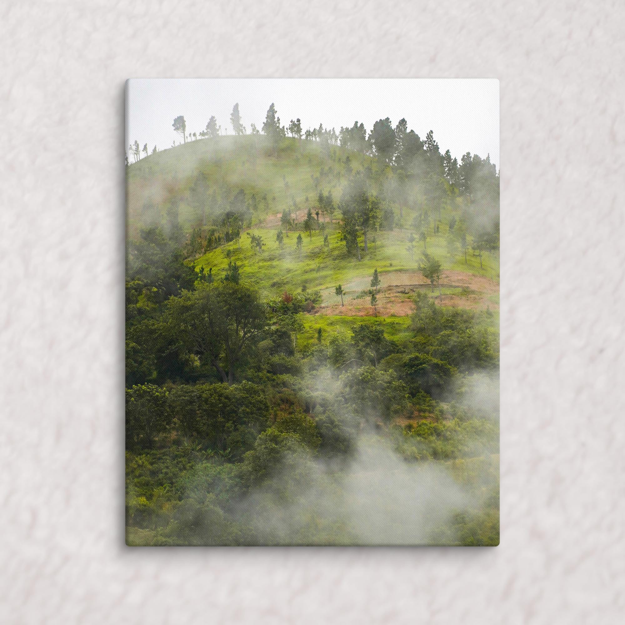 Whispers of the Hill