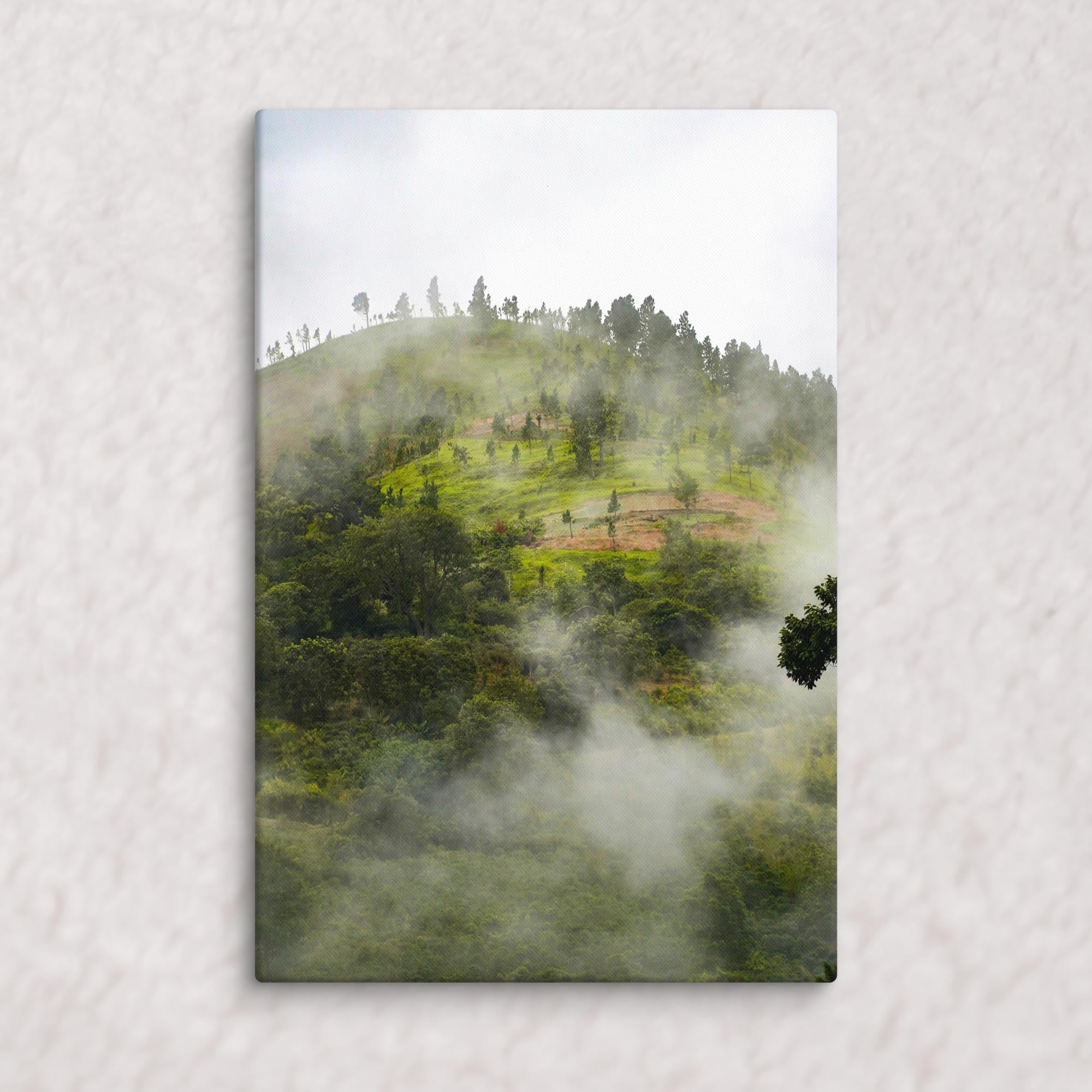 Whispers of the Hill