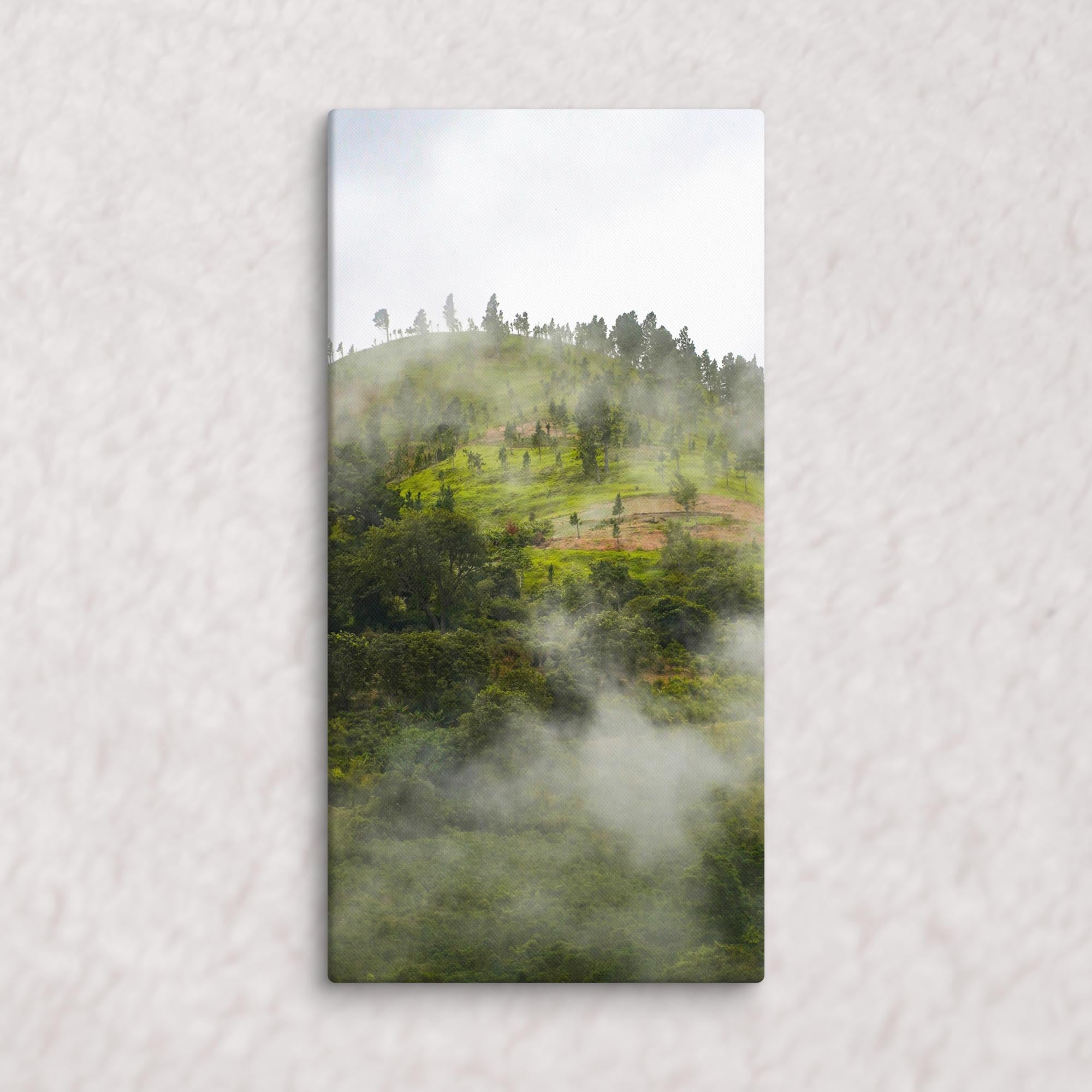 Whispers of the Hill