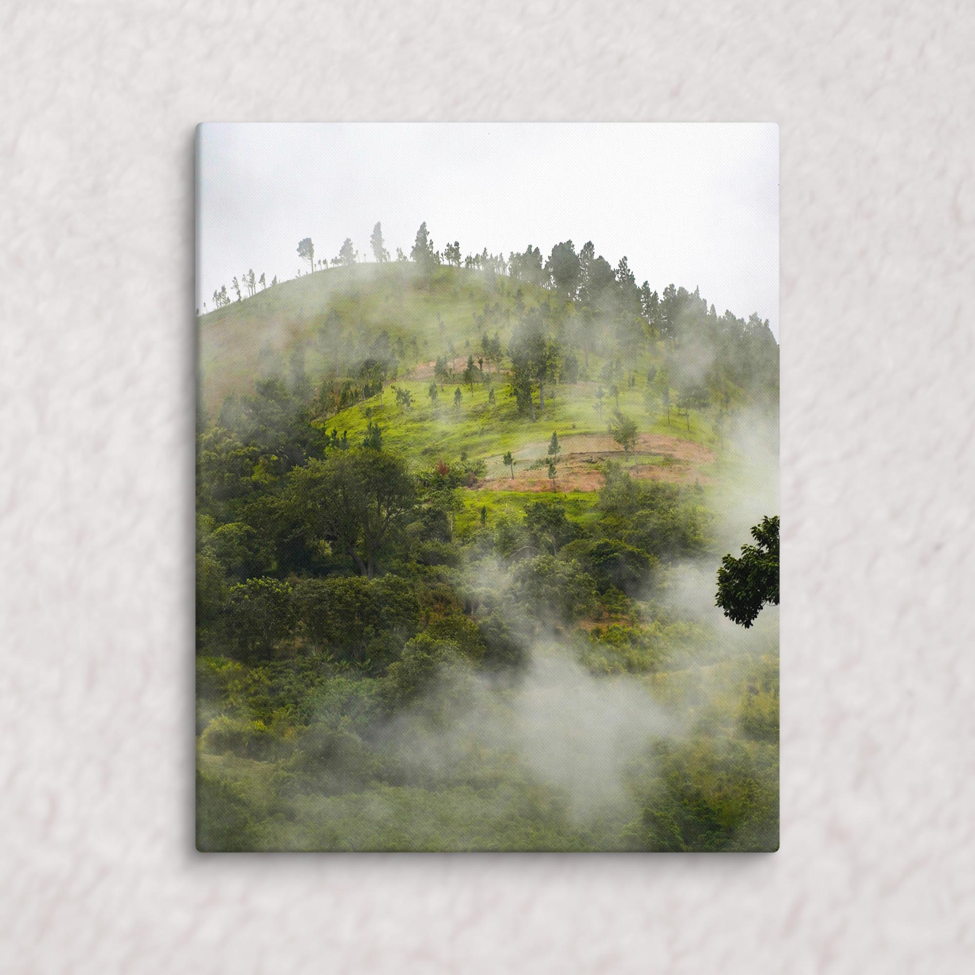 Whispers of the Hill