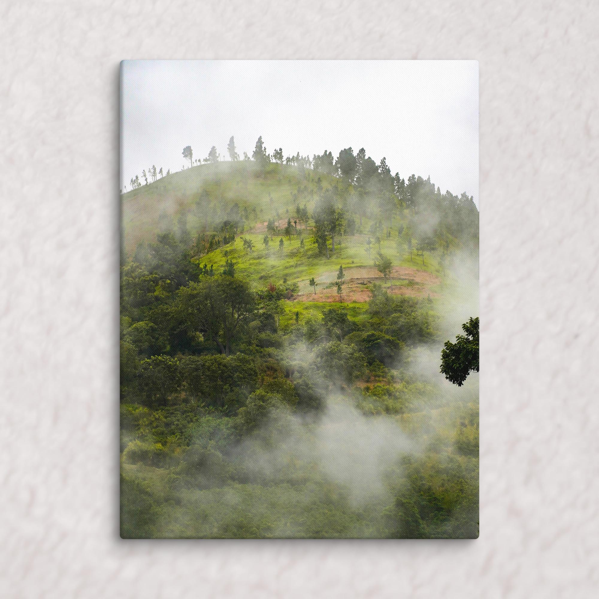 Whispers of the Hill