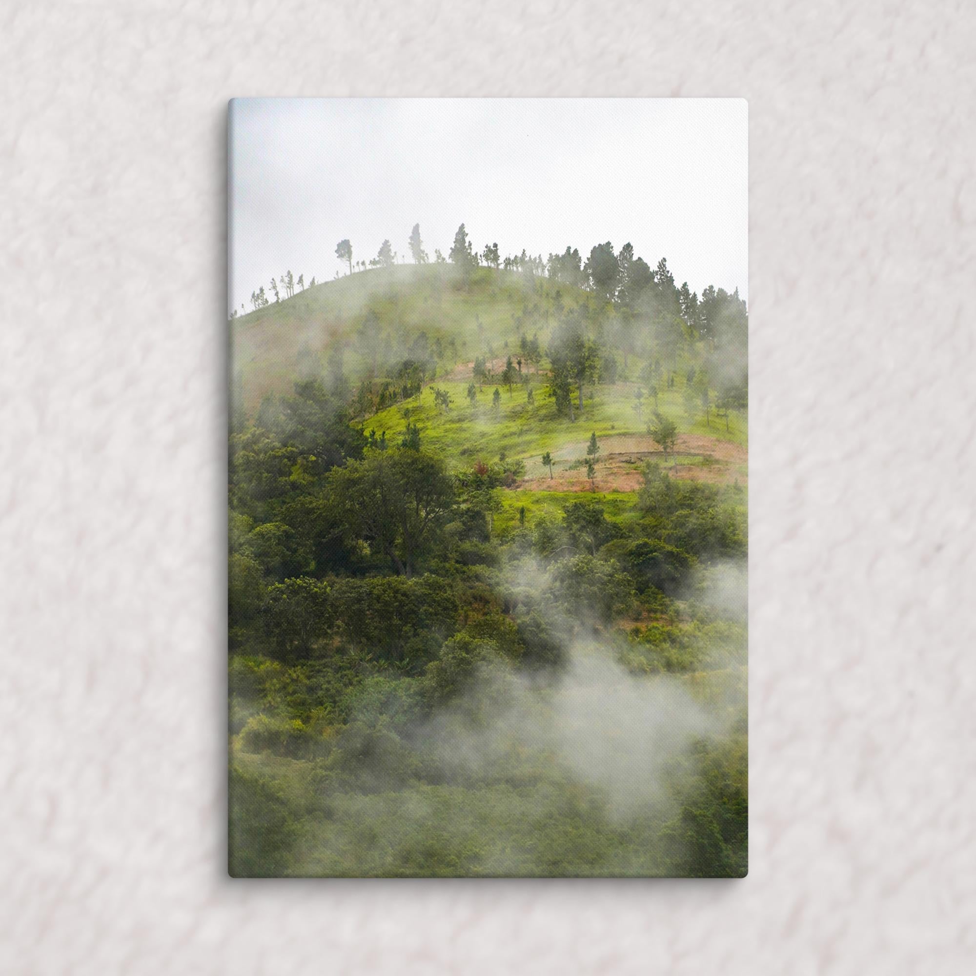 Whispers of the Hill