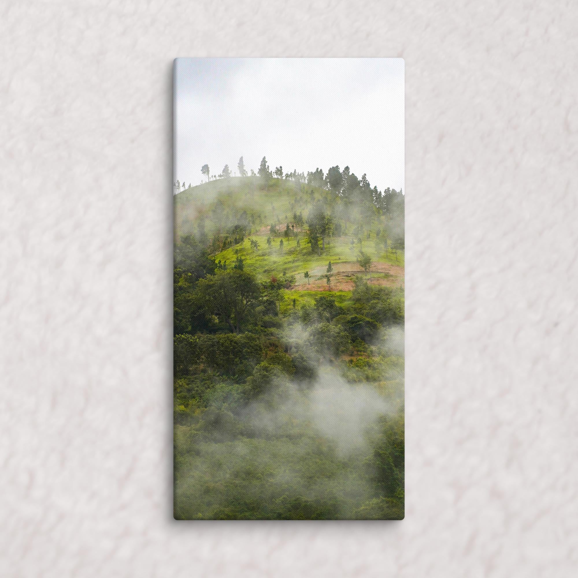 Whispers of the Hill