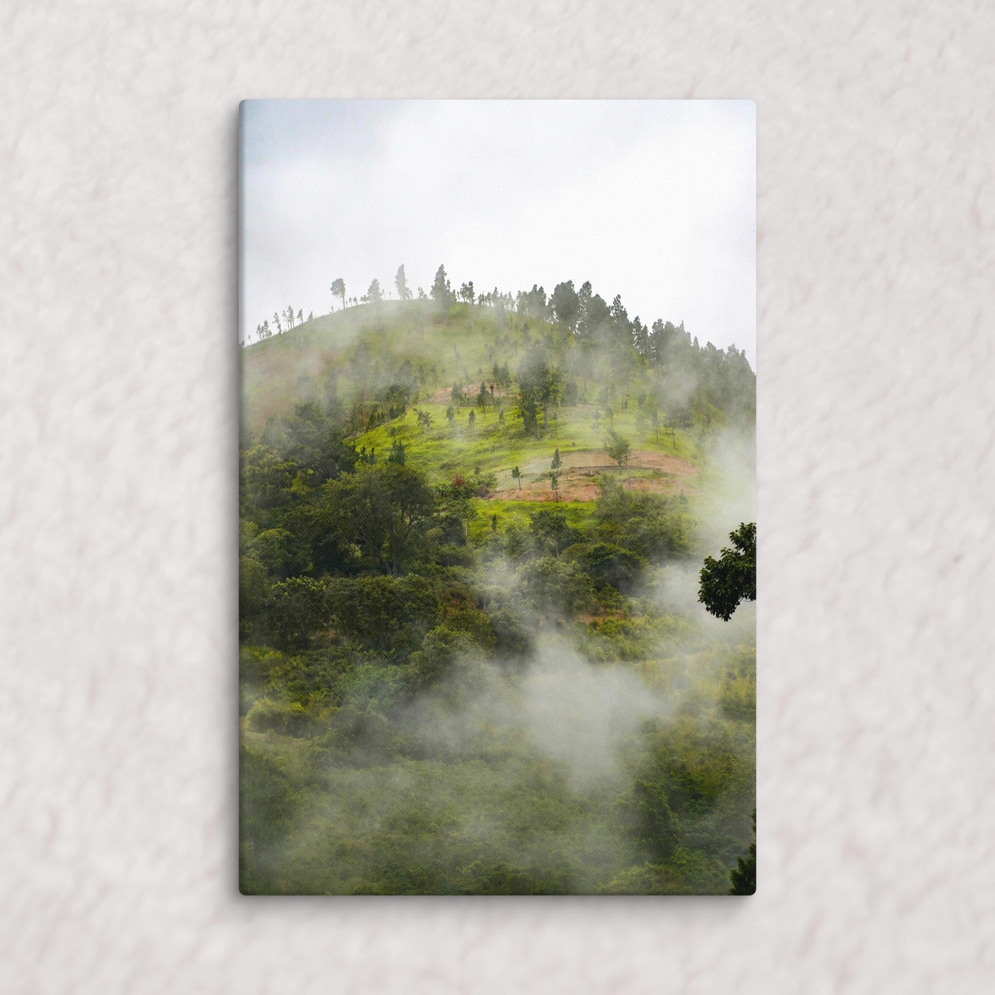 Whispers of the Hill