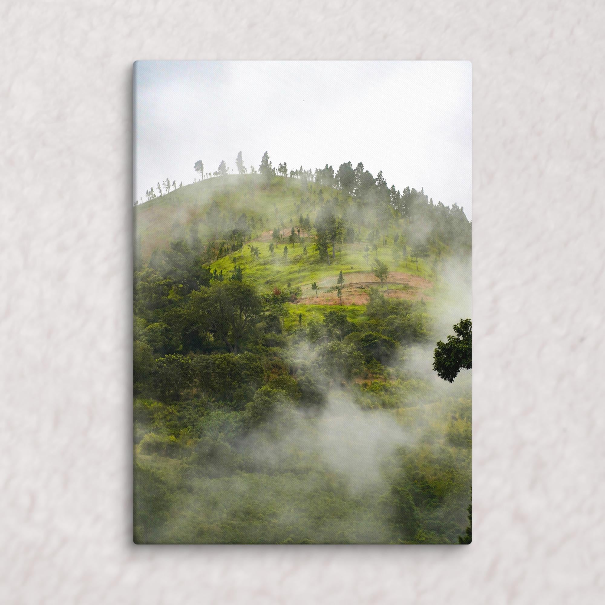 Whispers of the Hill