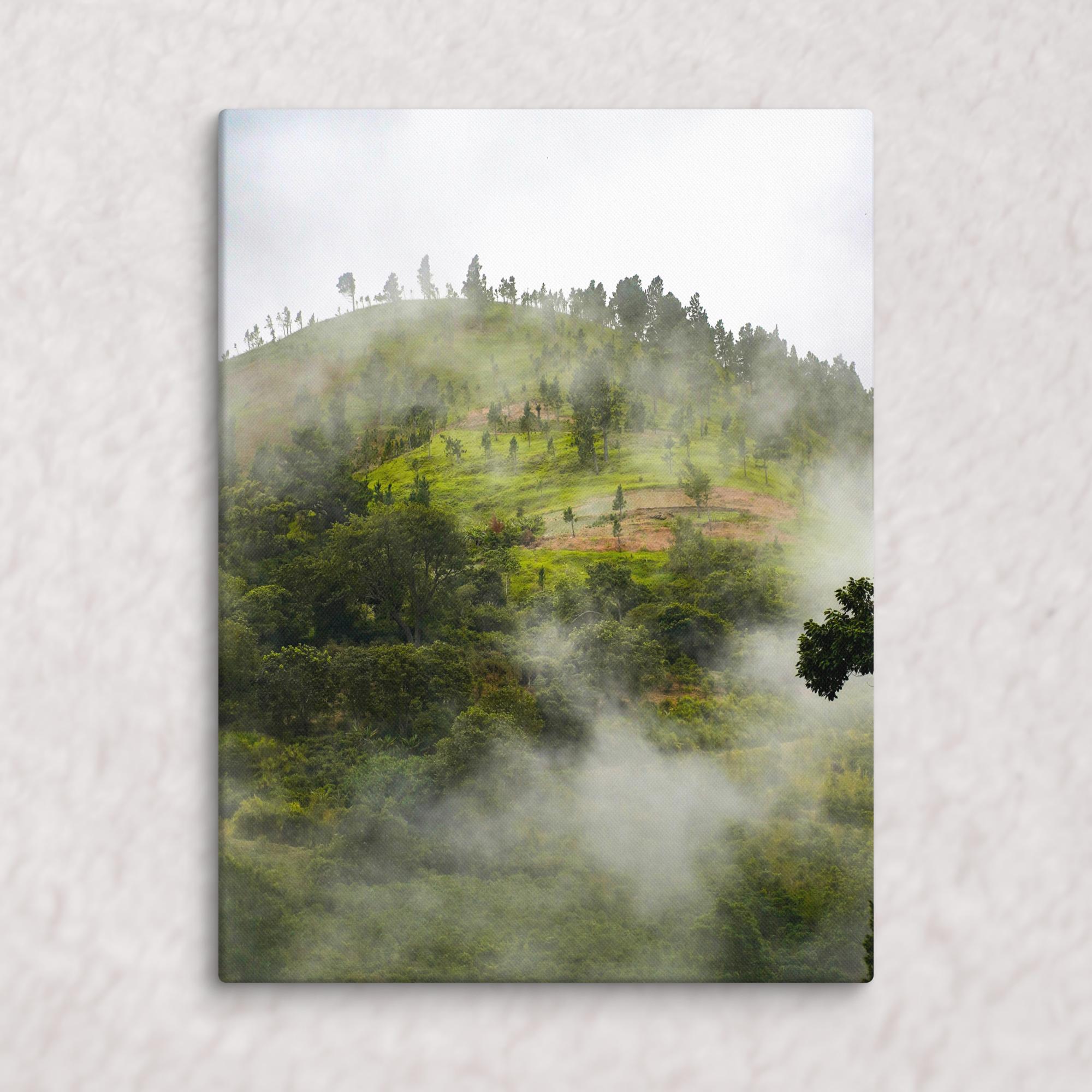 Whispers of the Hill