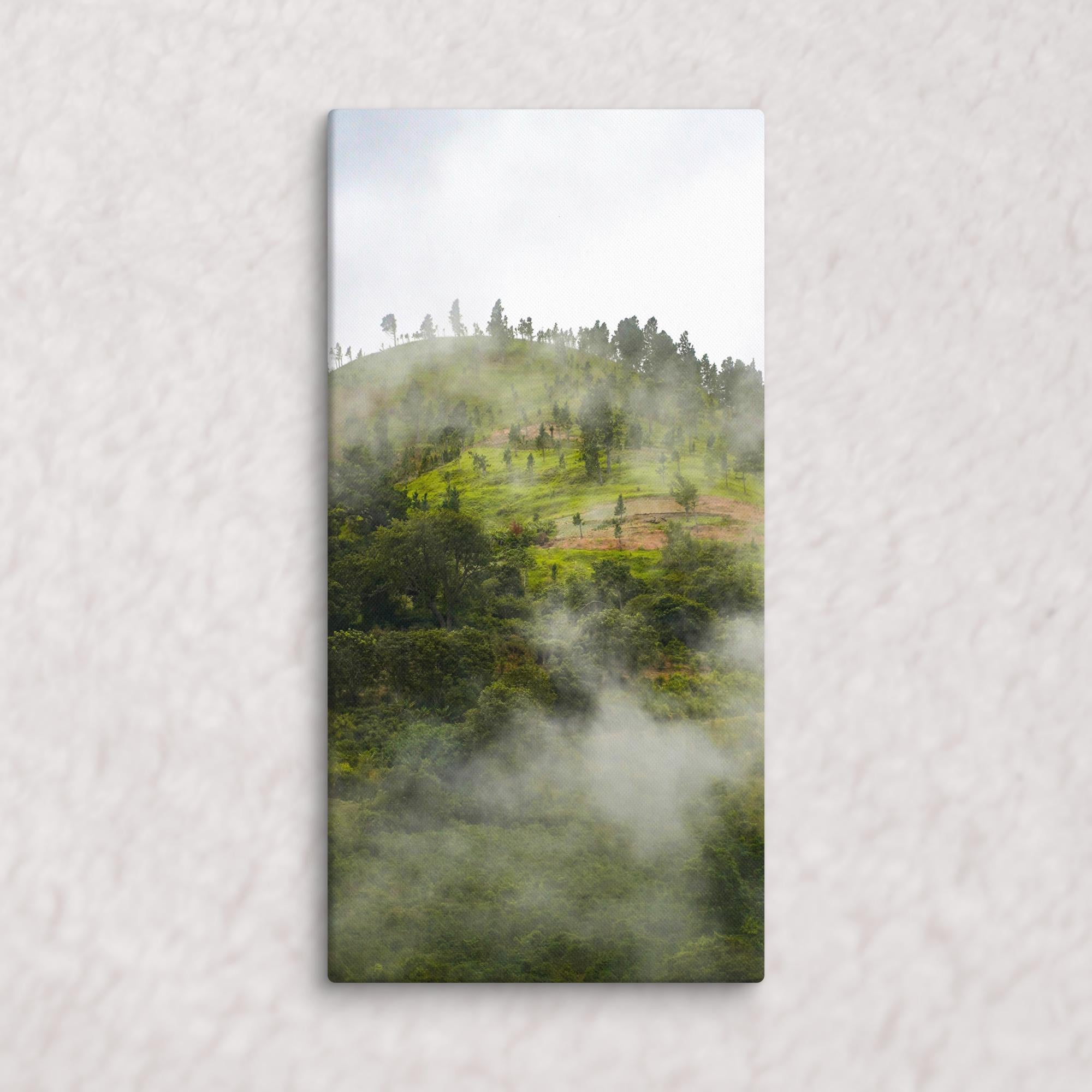 Whispers of the Hill