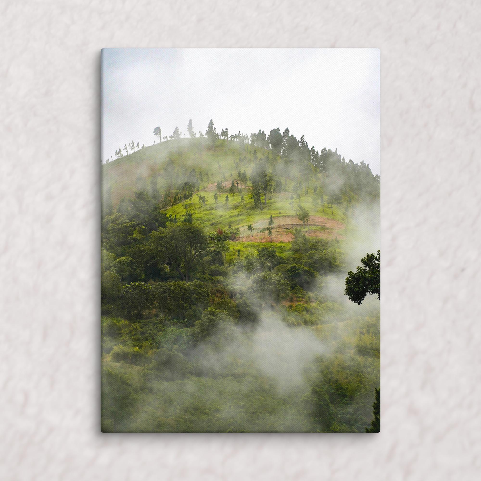 Whispers of the Hill