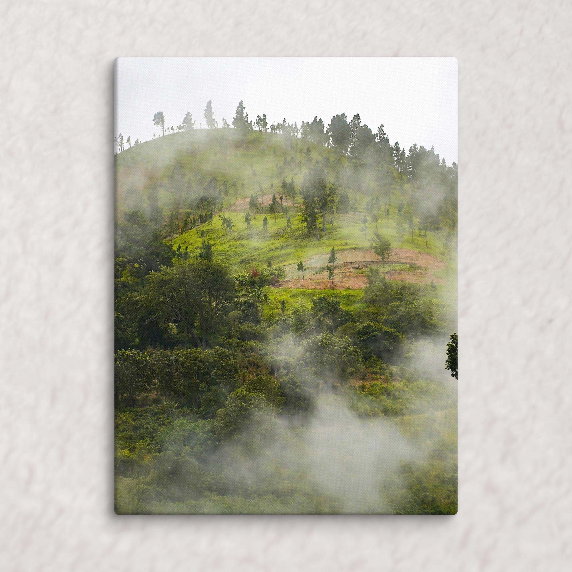 Whispers of the Hill