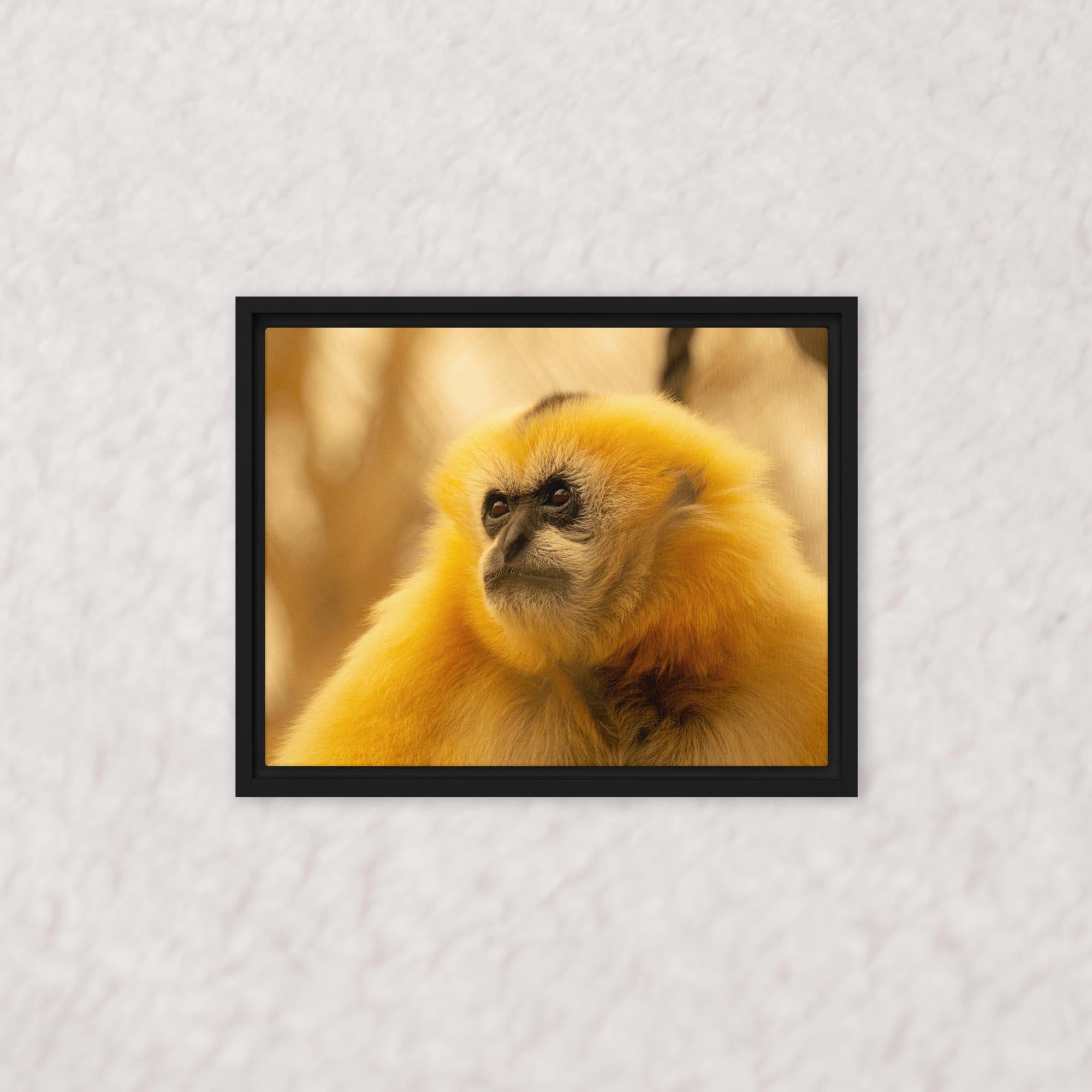 Jungle Gold (Framed)