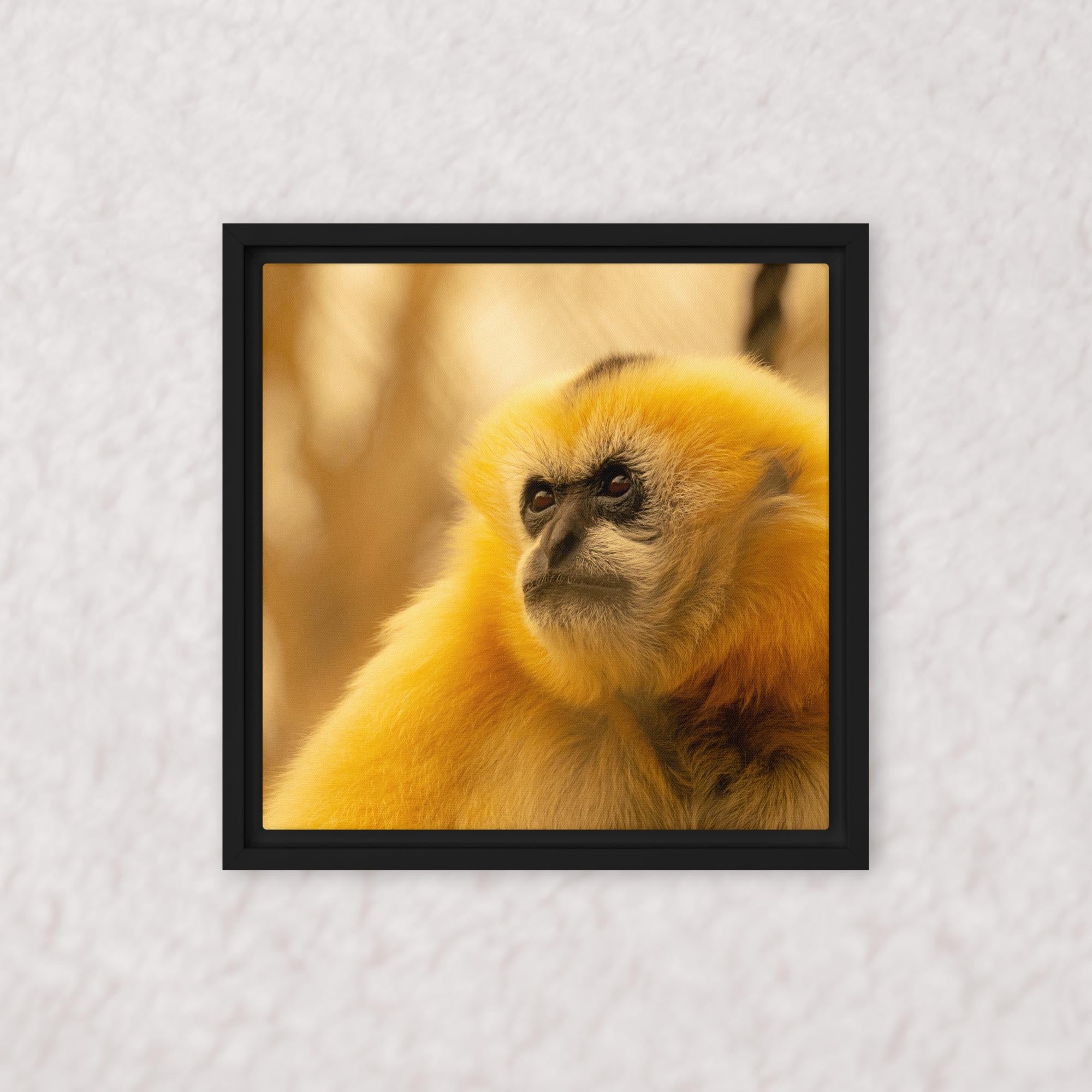 Jungle Gold (Framed)