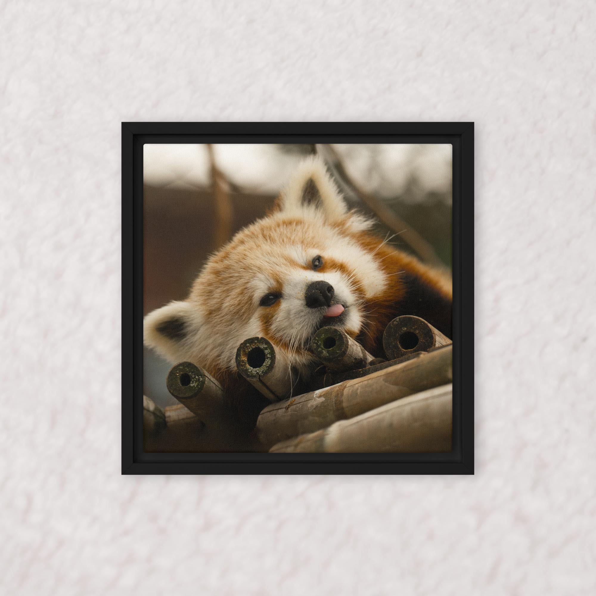Cradled in Bamboo (Framed)