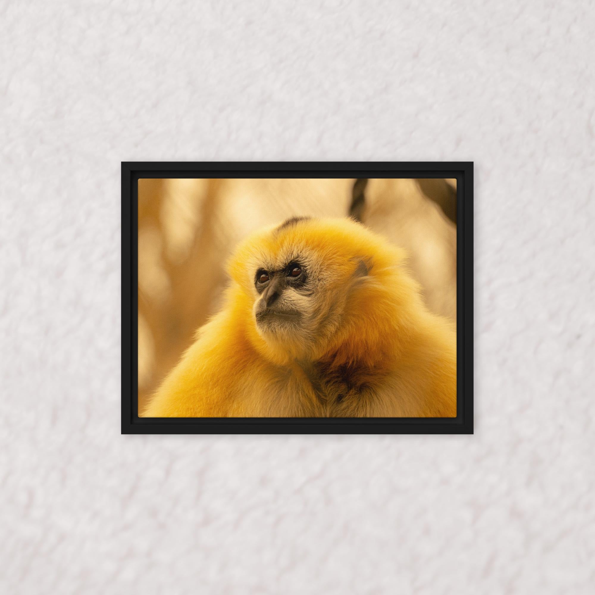 Jungle Gold (Framed)