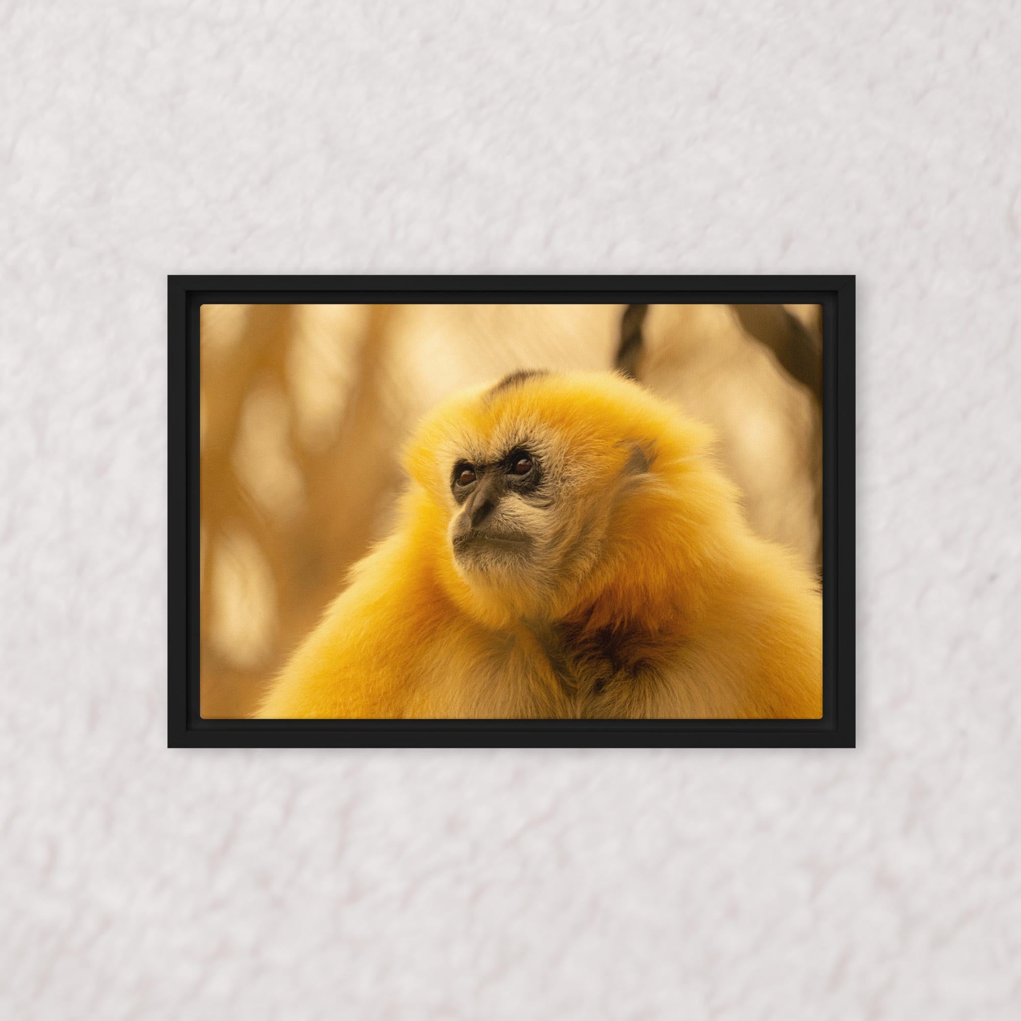 Jungle Gold (Framed)