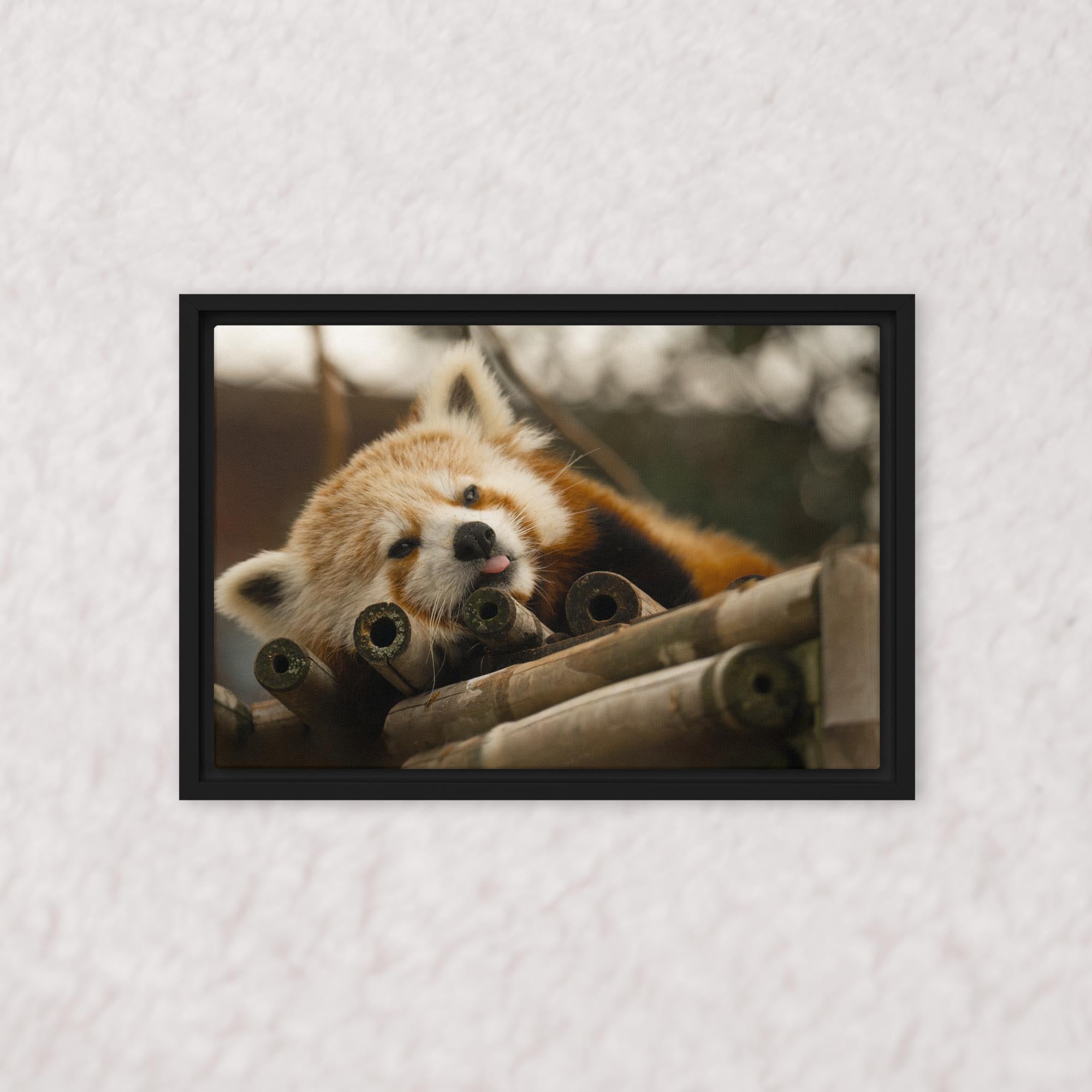 Cradled in Bamboo (Framed)