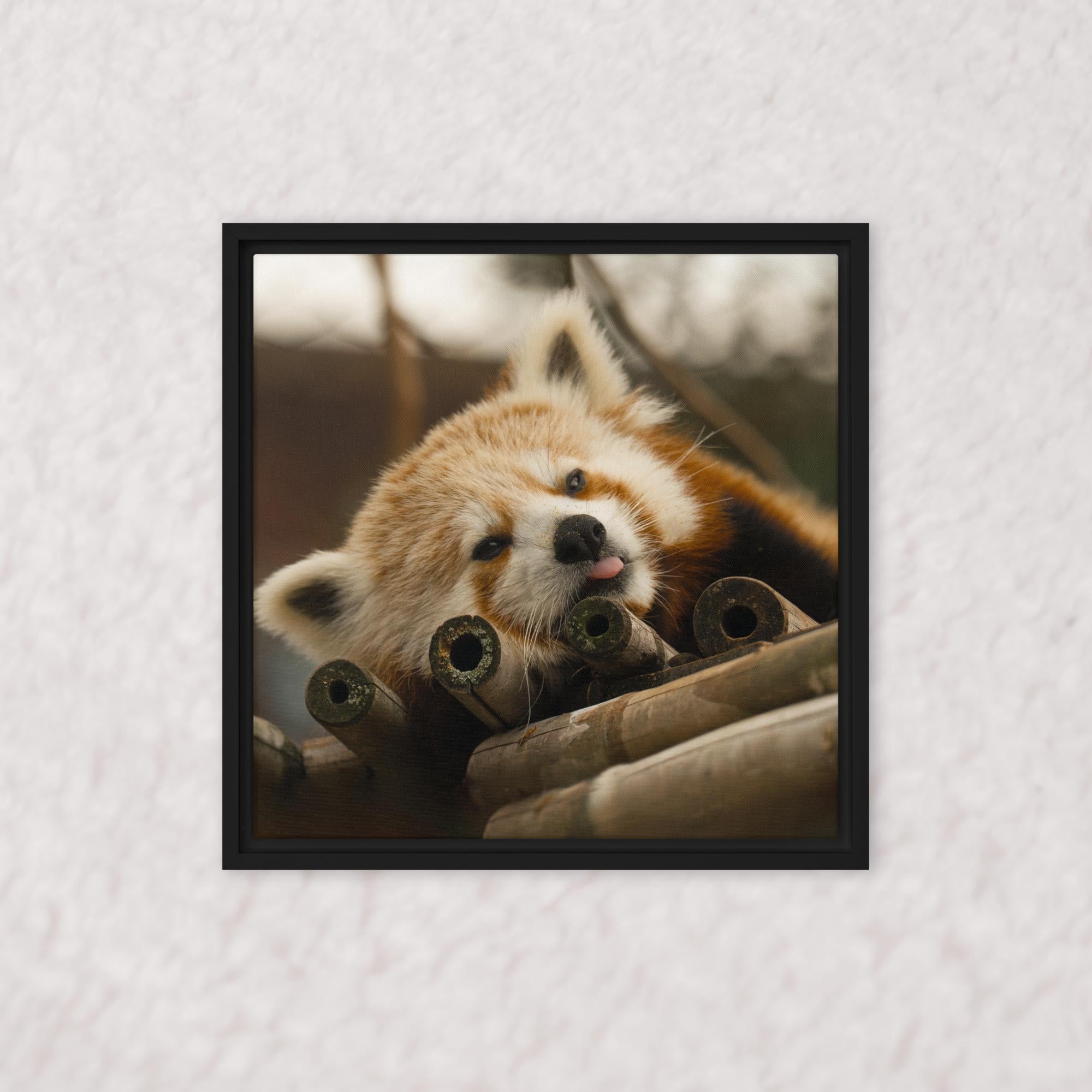 Cradled in Bamboo (Framed)