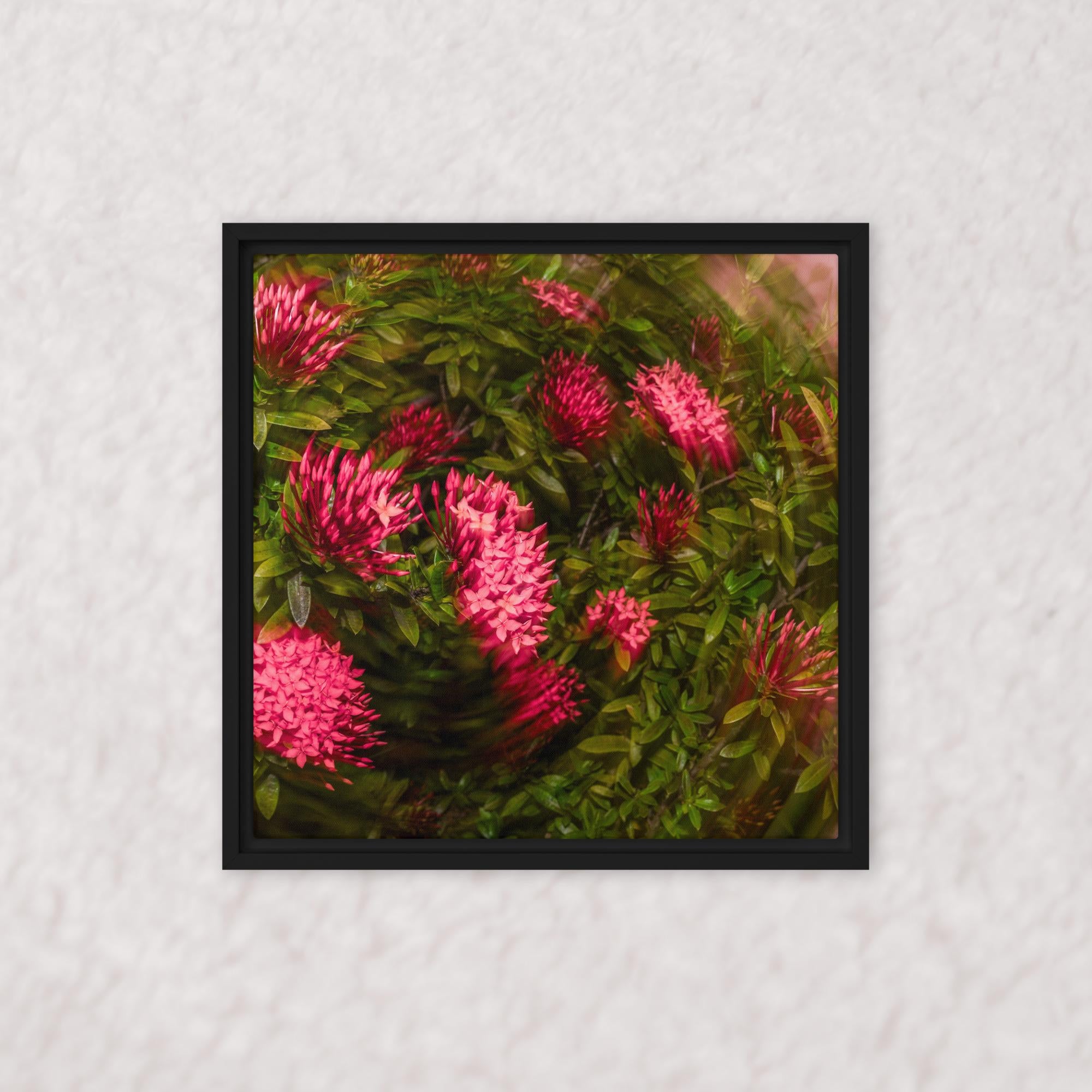 Spiraling Blossoms (Framed)