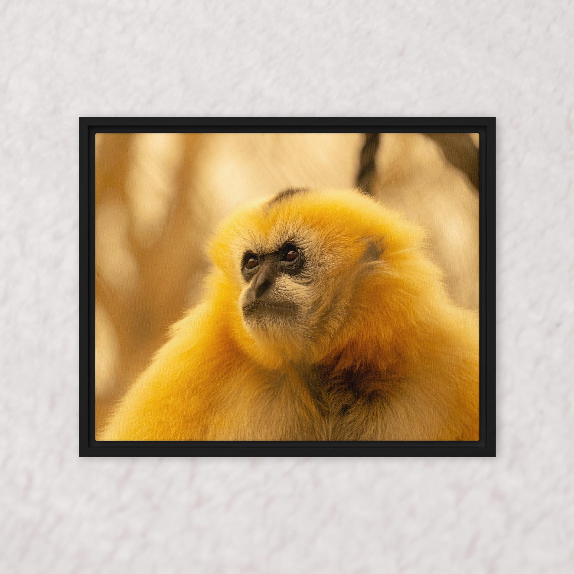 Jungle Gold (Framed)