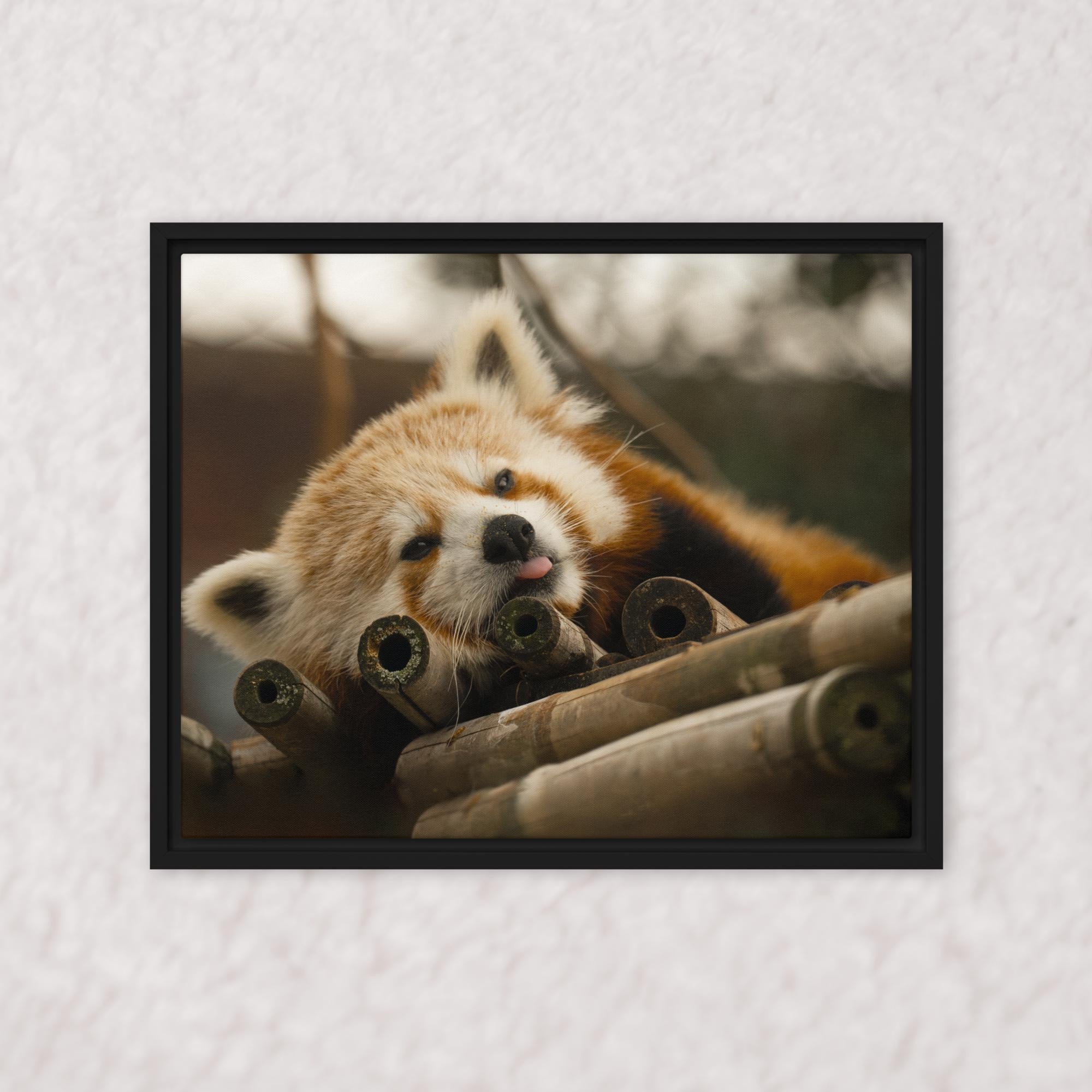 Cradled in Bamboo (Framed)