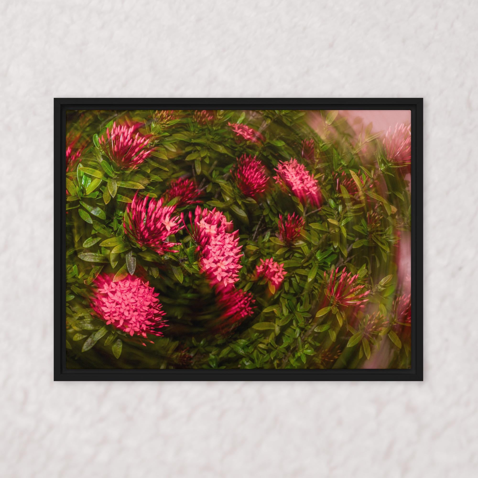 Spiraling Blossoms (Framed)