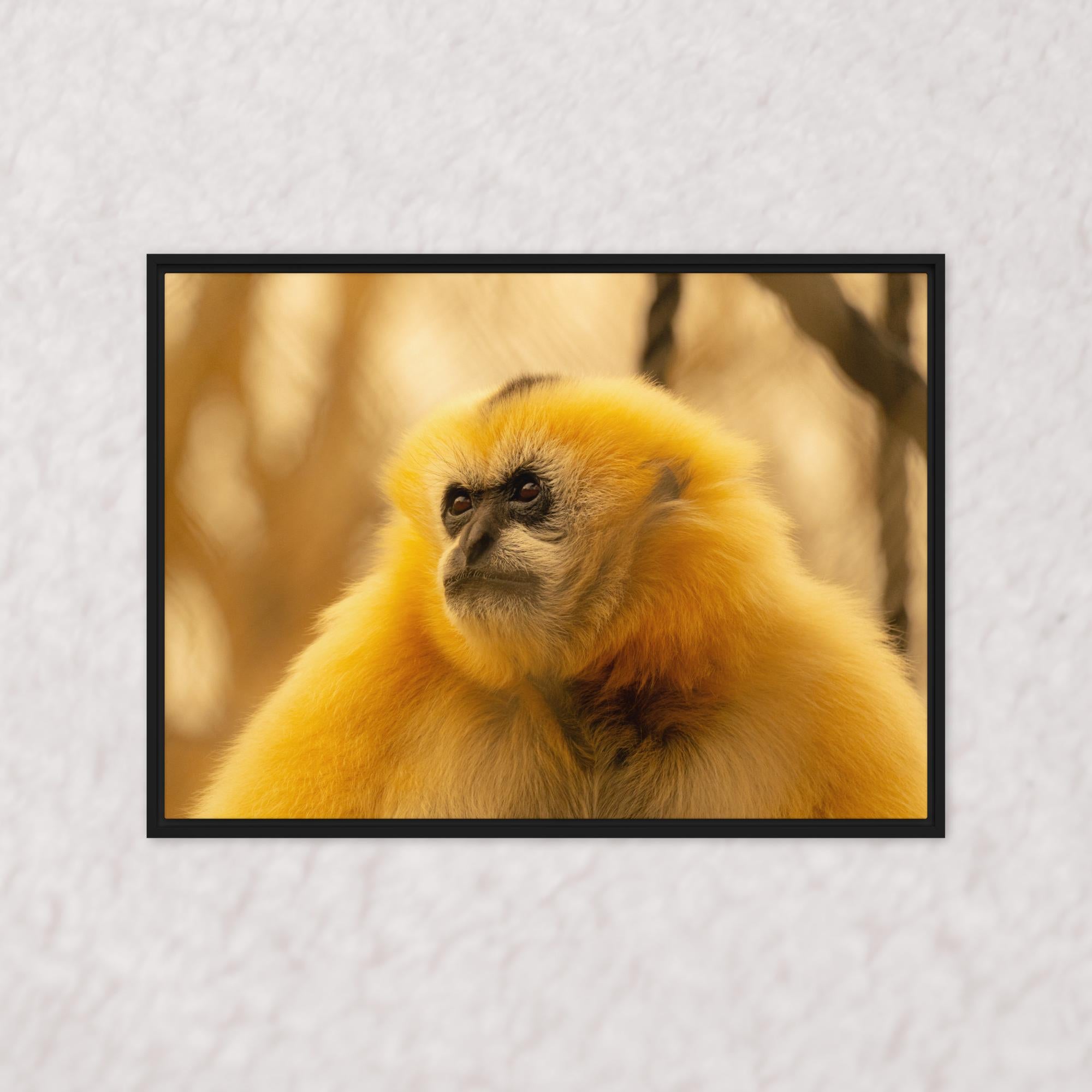 Jungle Gold (Framed)