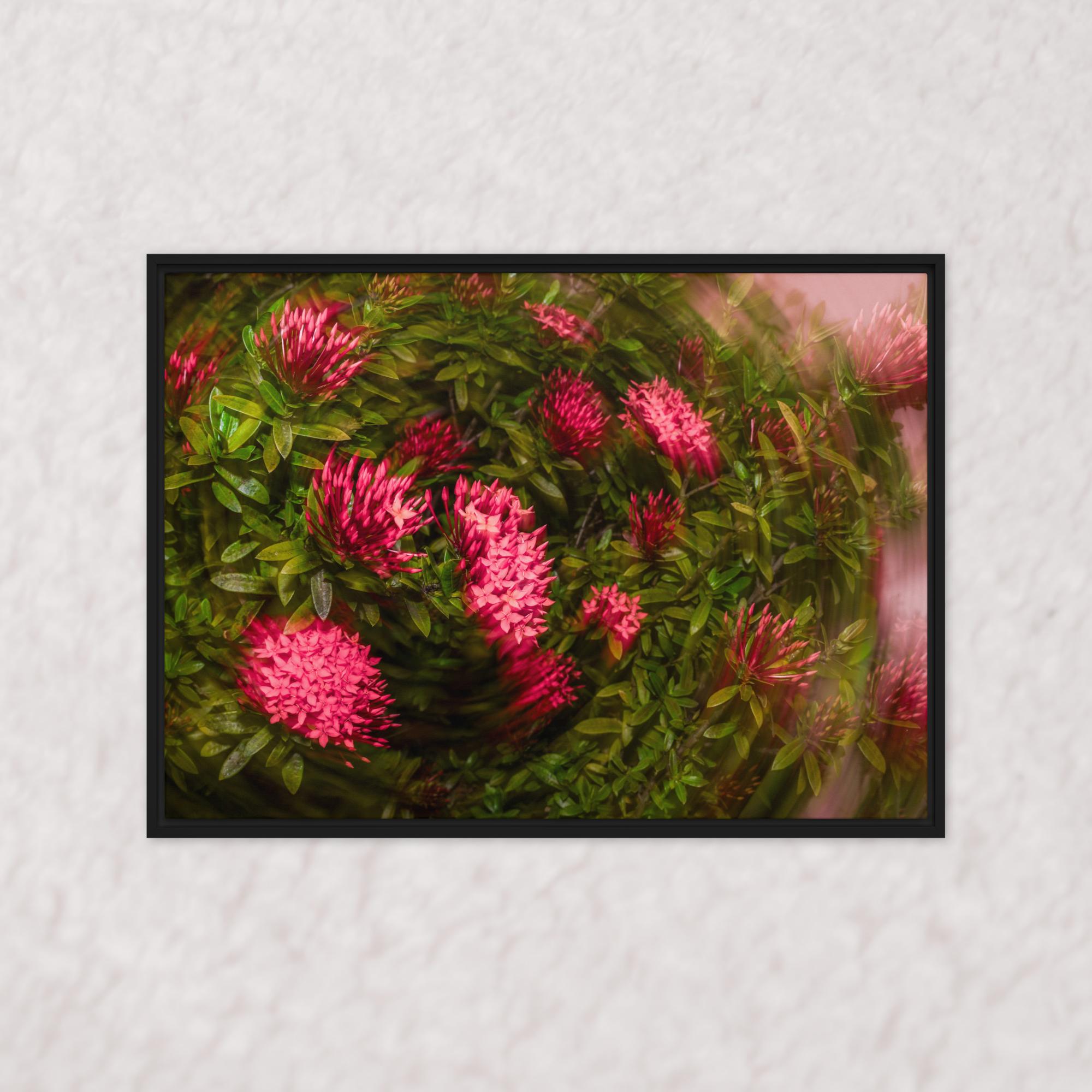 Spiraling Blossoms (Framed)