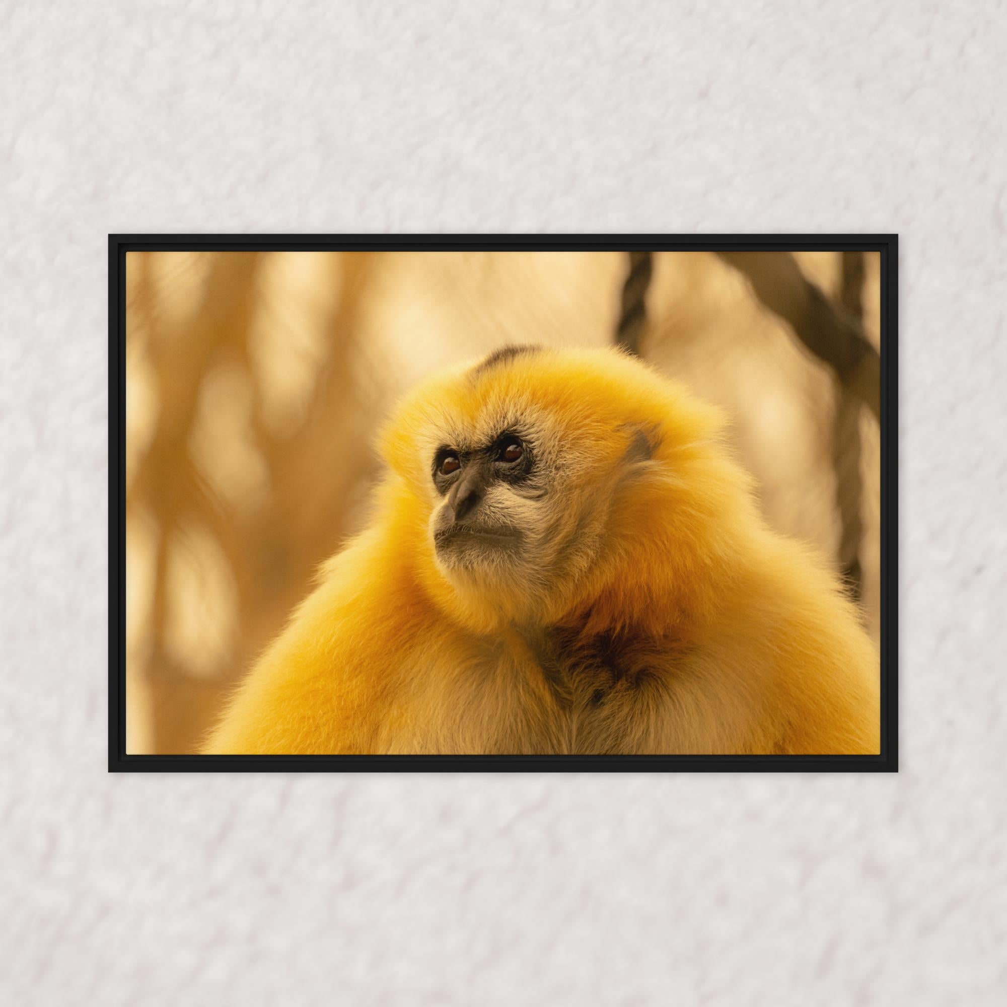 Jungle Gold (Framed)