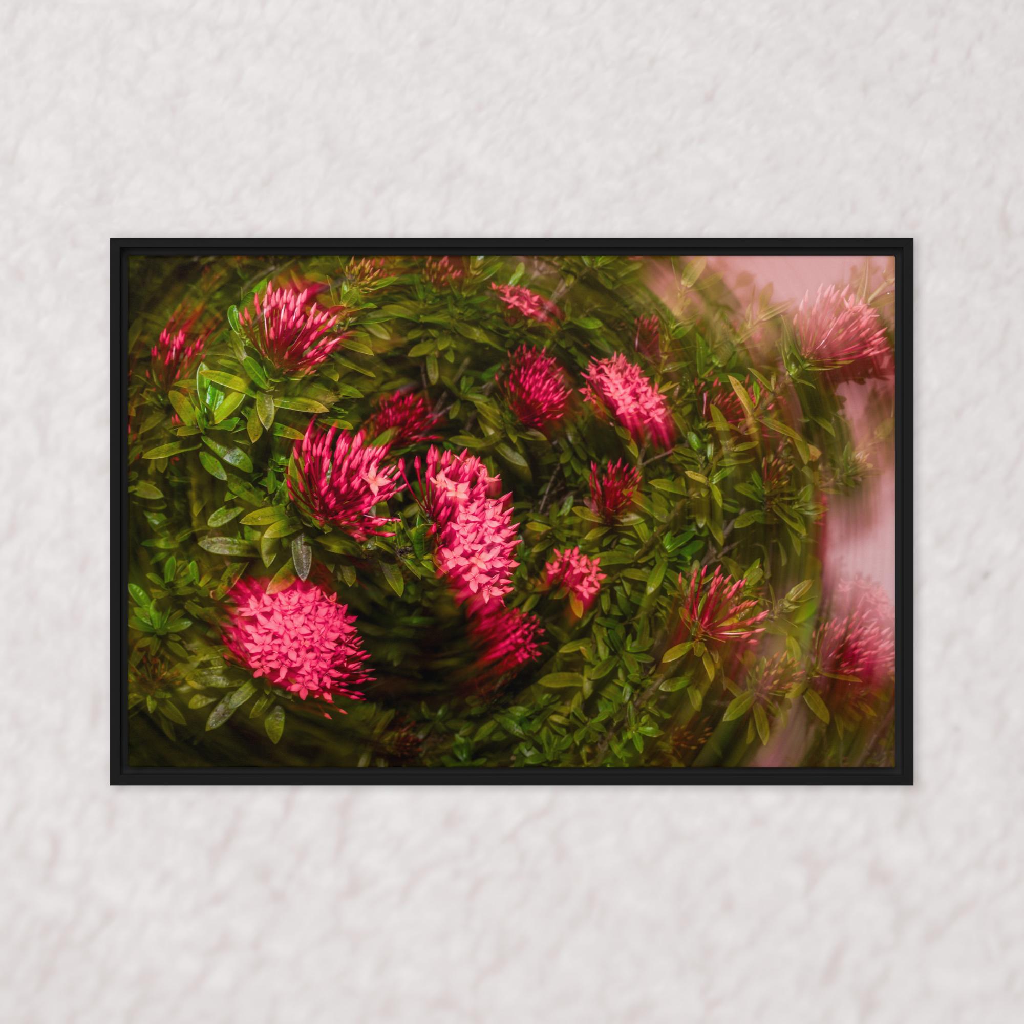Spiraling Blossoms (Framed)