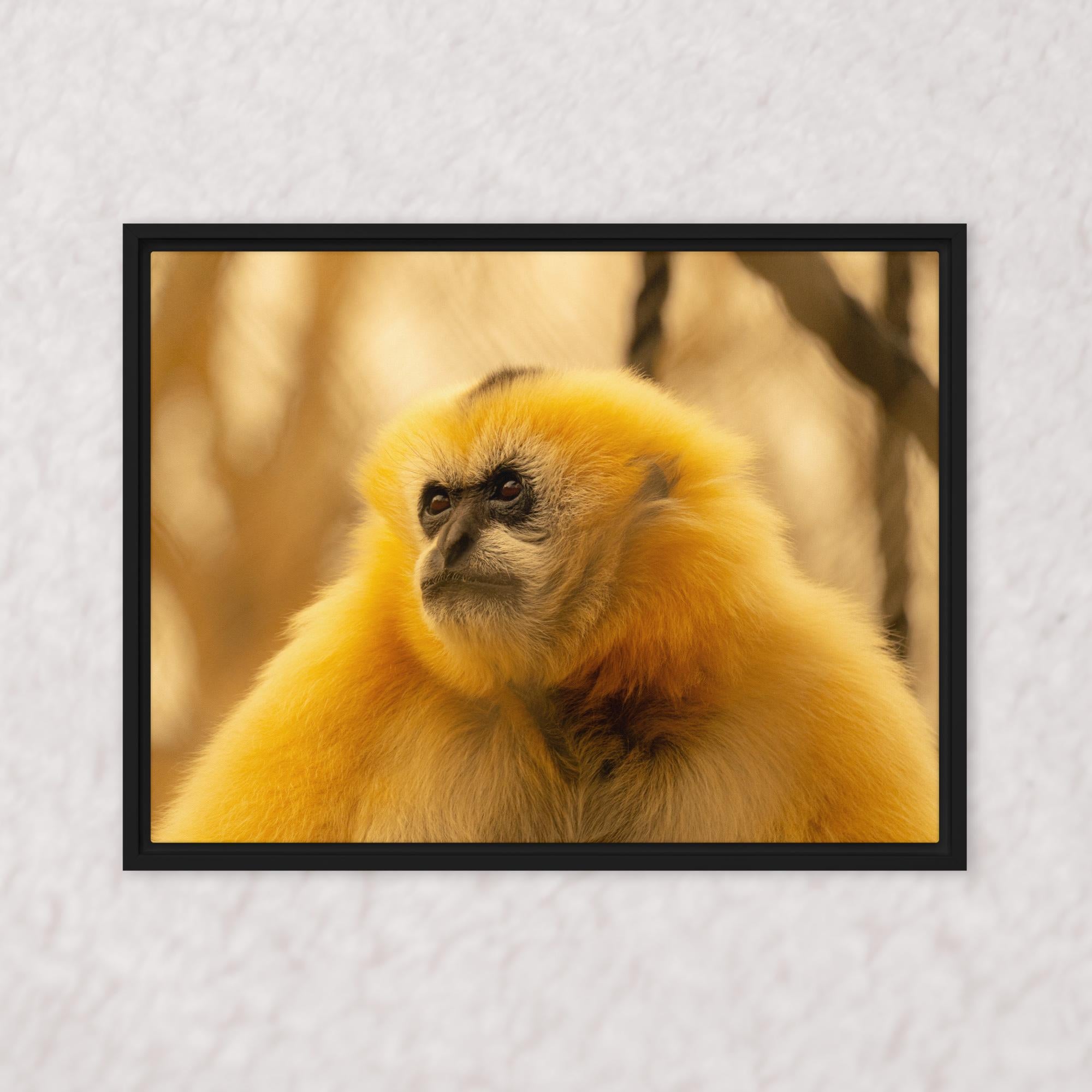 Jungle Gold (Framed)