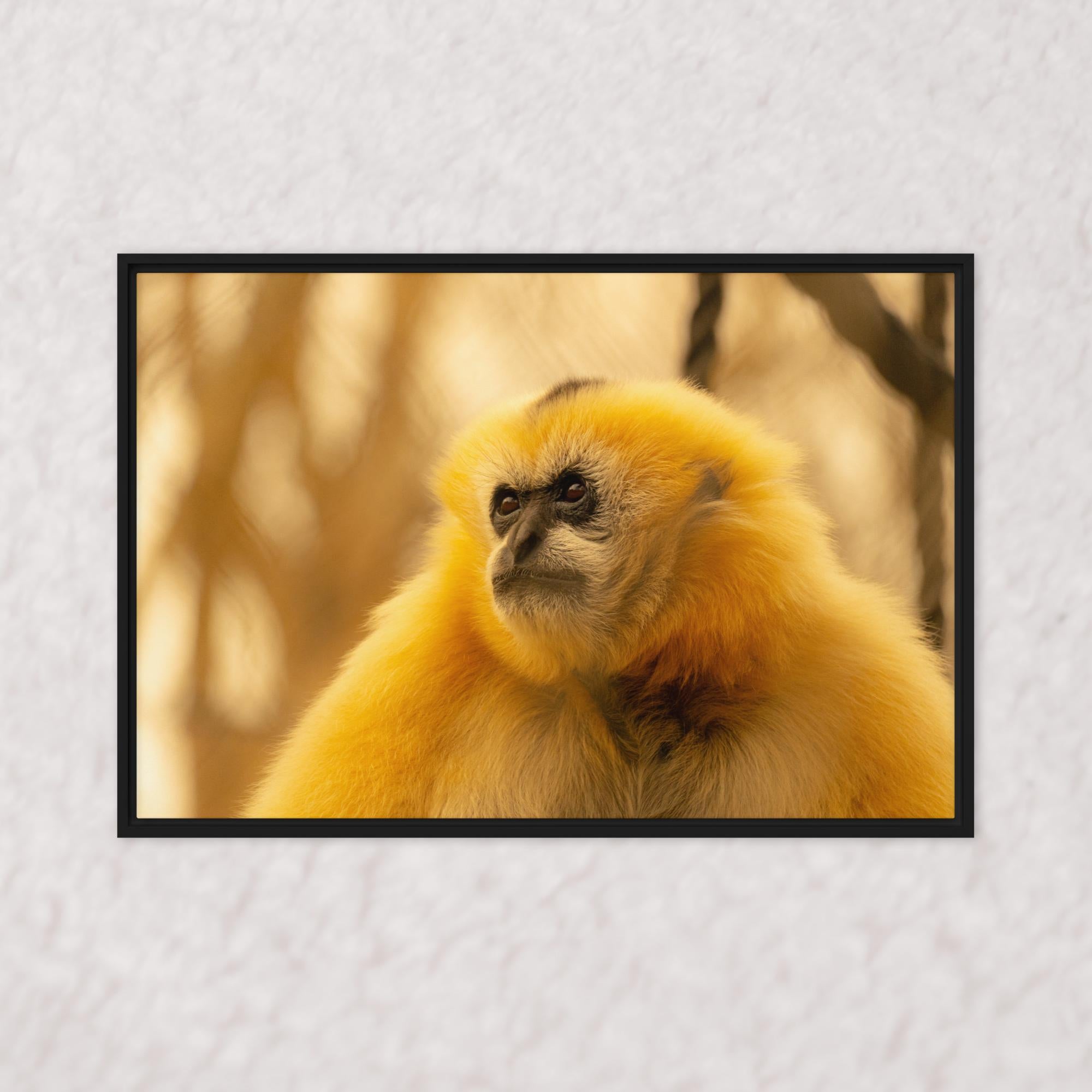 Jungle Gold (Framed)