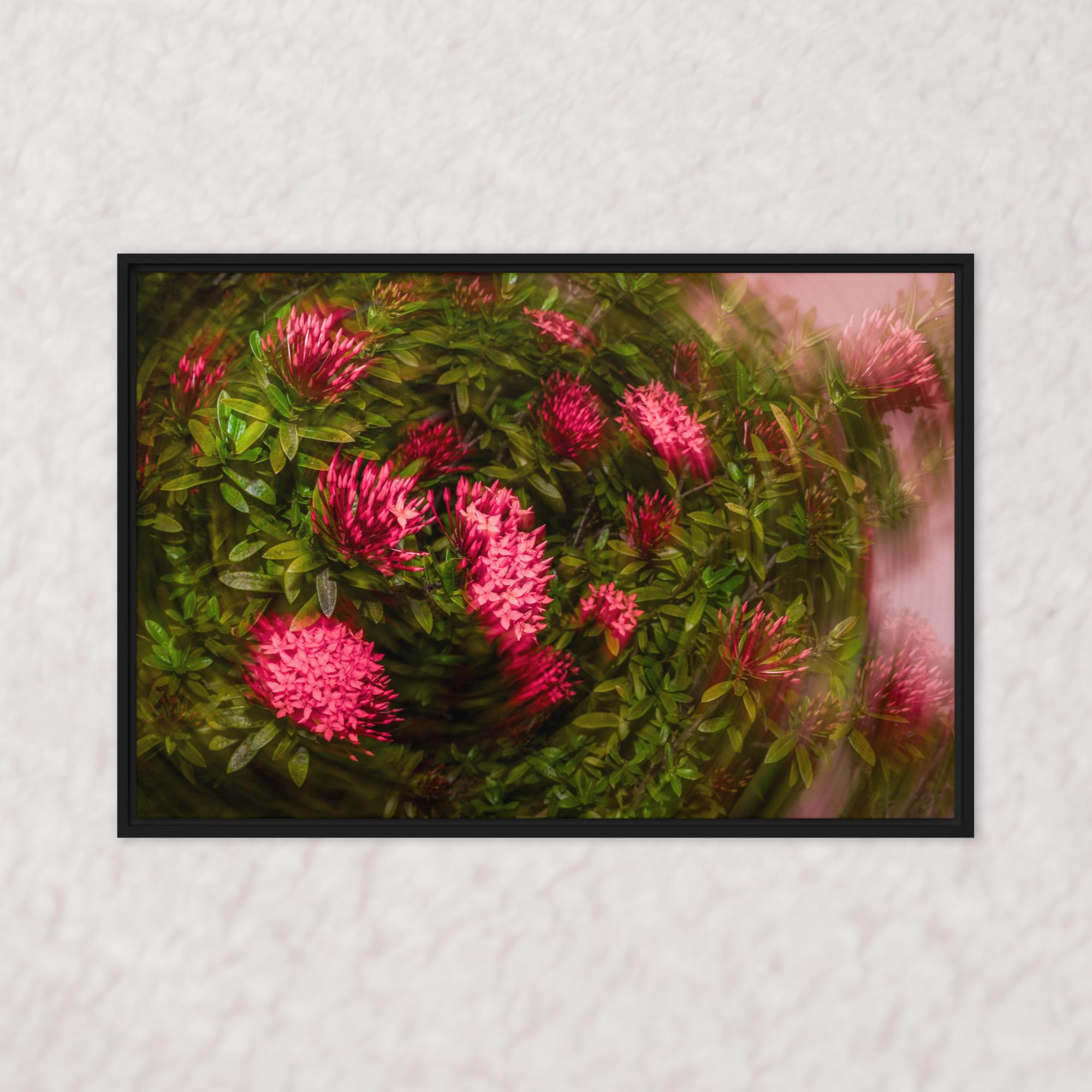 Spiraling Blossoms (Framed)