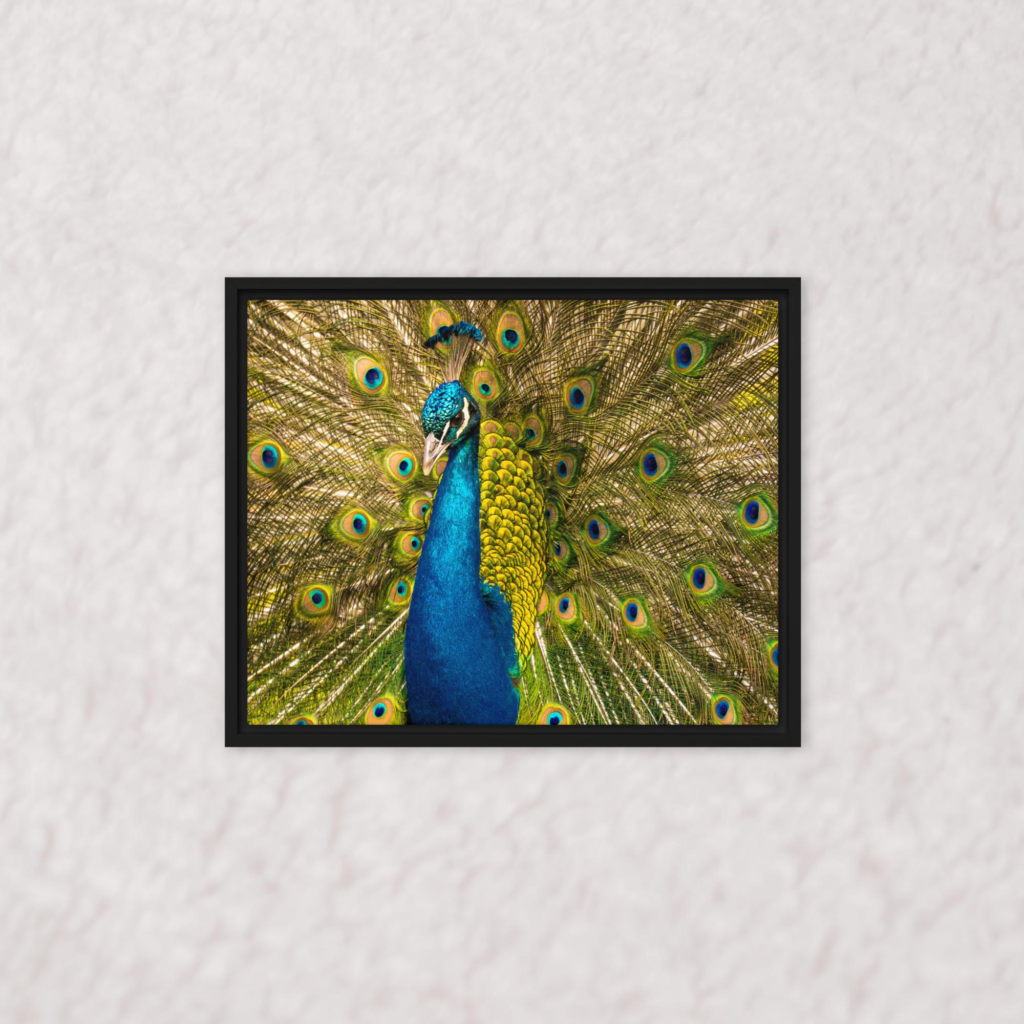 Royal Display (Framed)