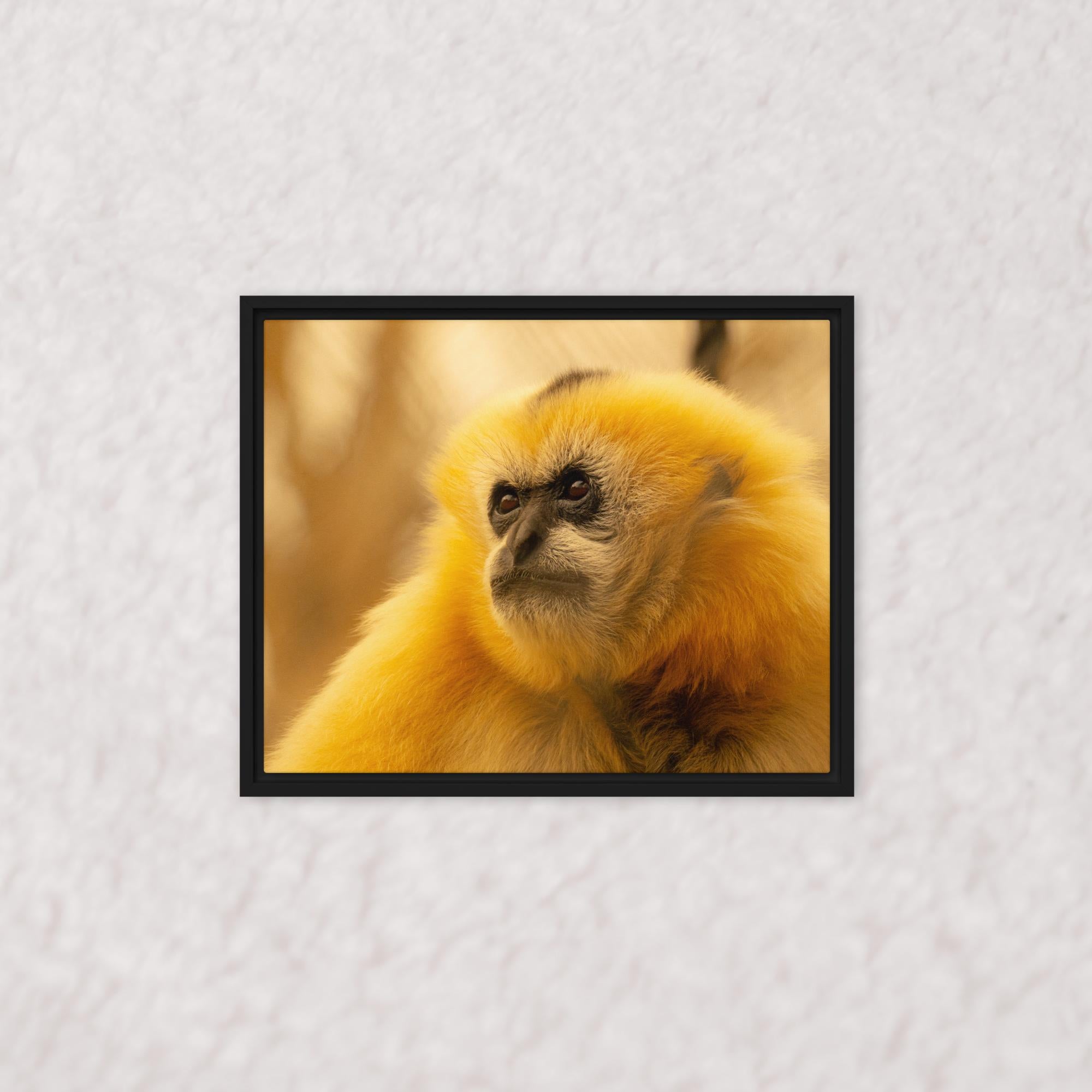 Jungle Gold (Framed)