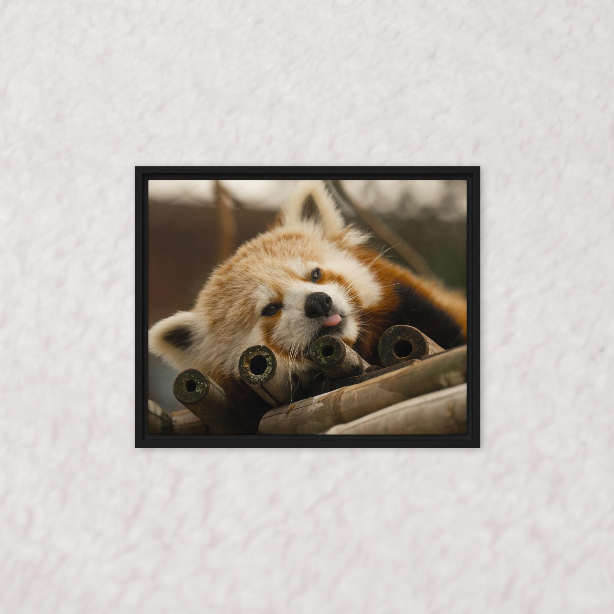 Cradled in Bamboo (Framed)