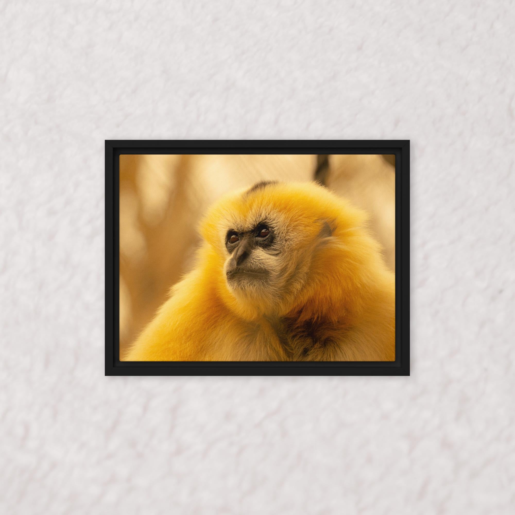 Jungle Gold (Framed)