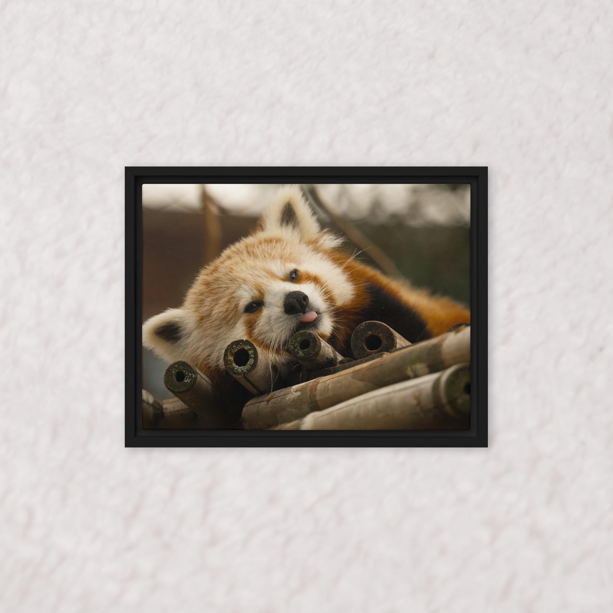 Cradled in Bamboo (Framed)