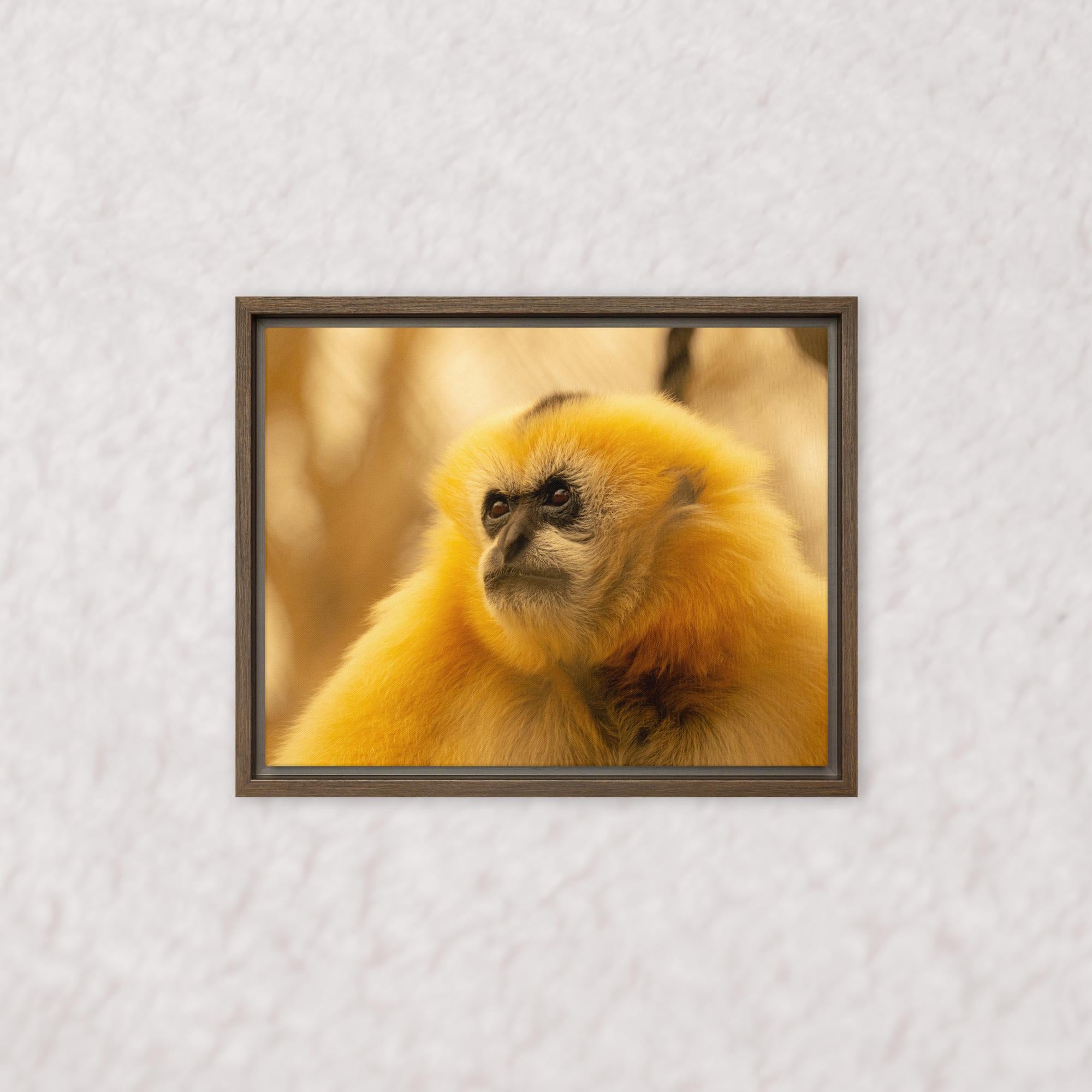 Jungle Gold (Framed)