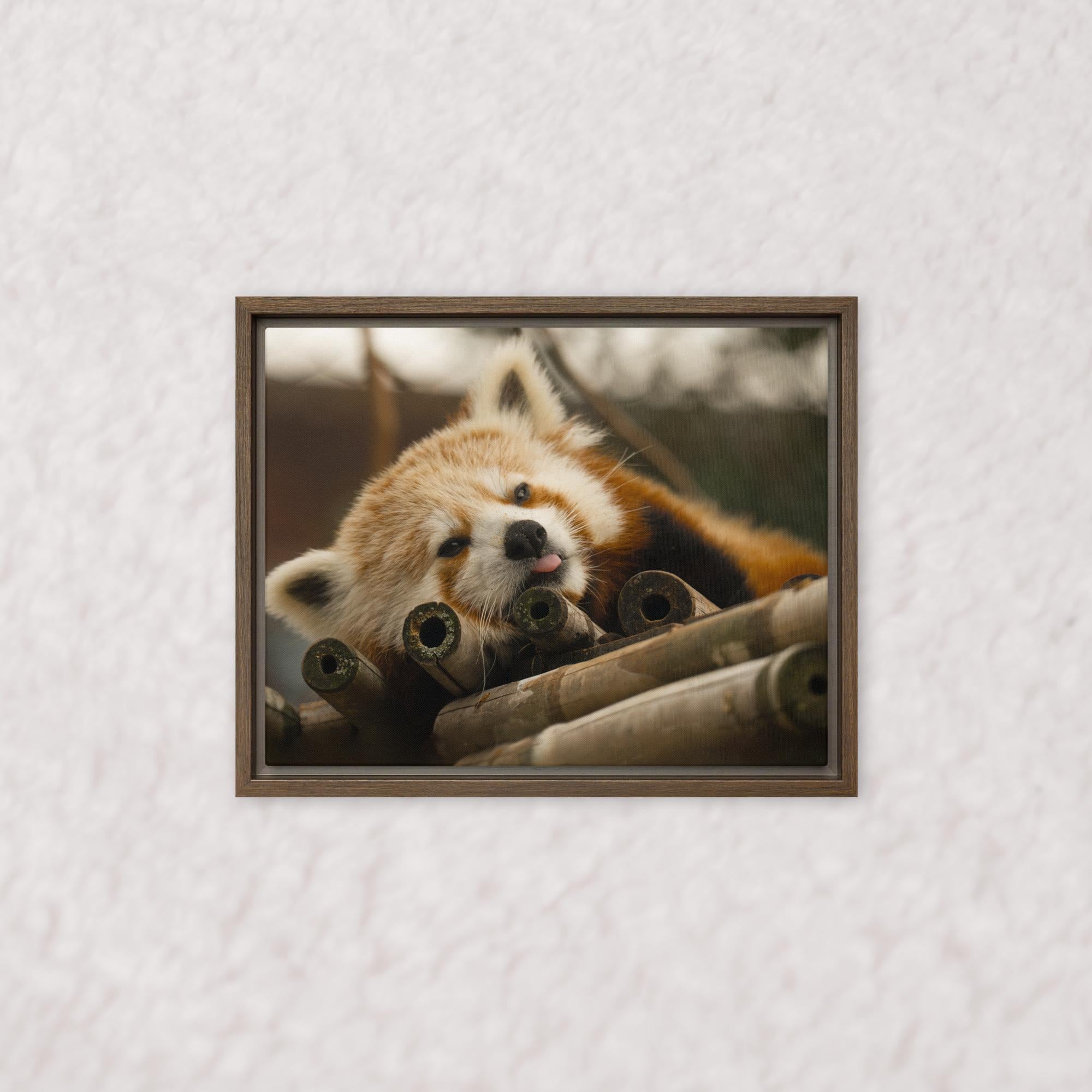 Cradled in Bamboo (Framed)