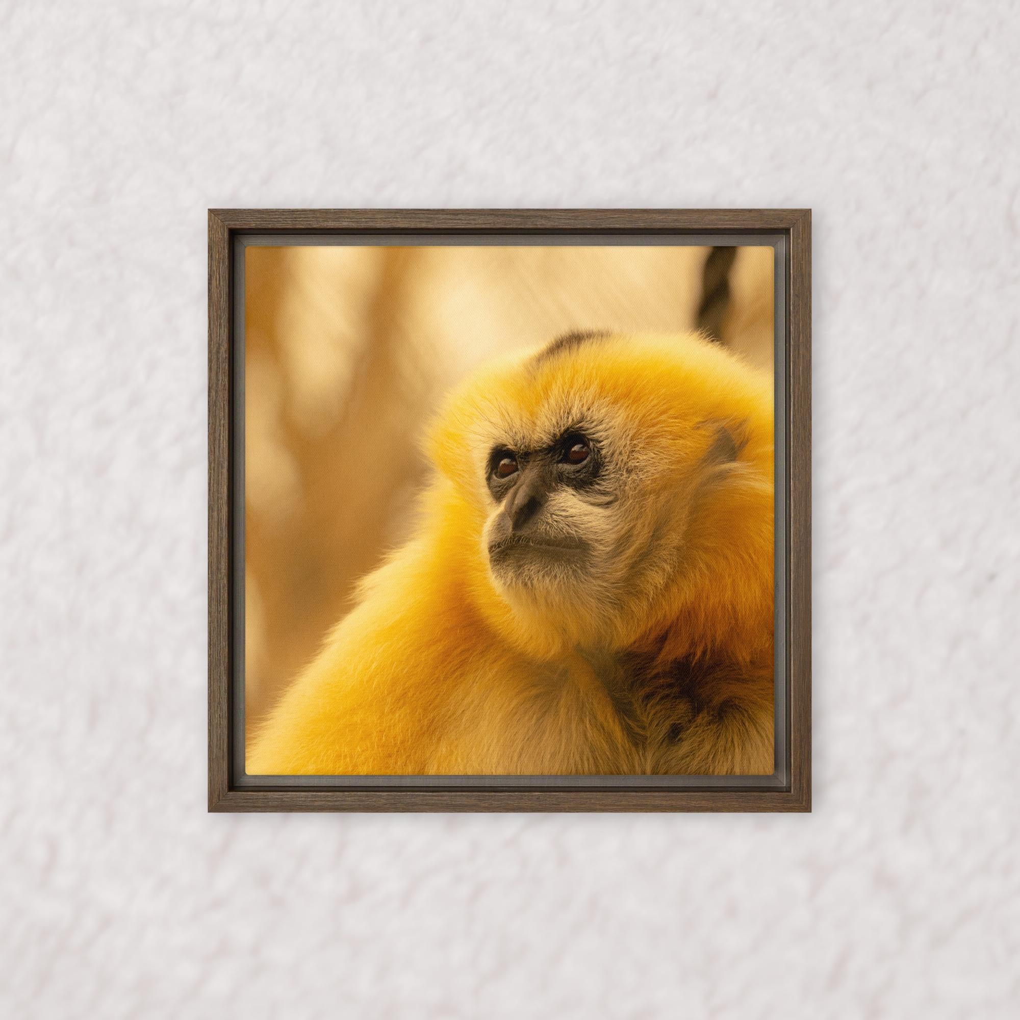 Jungle Gold (Framed)