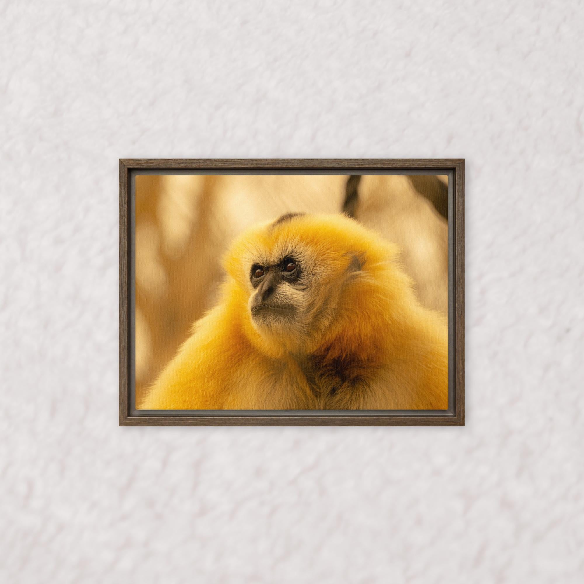 Jungle Gold (Framed)