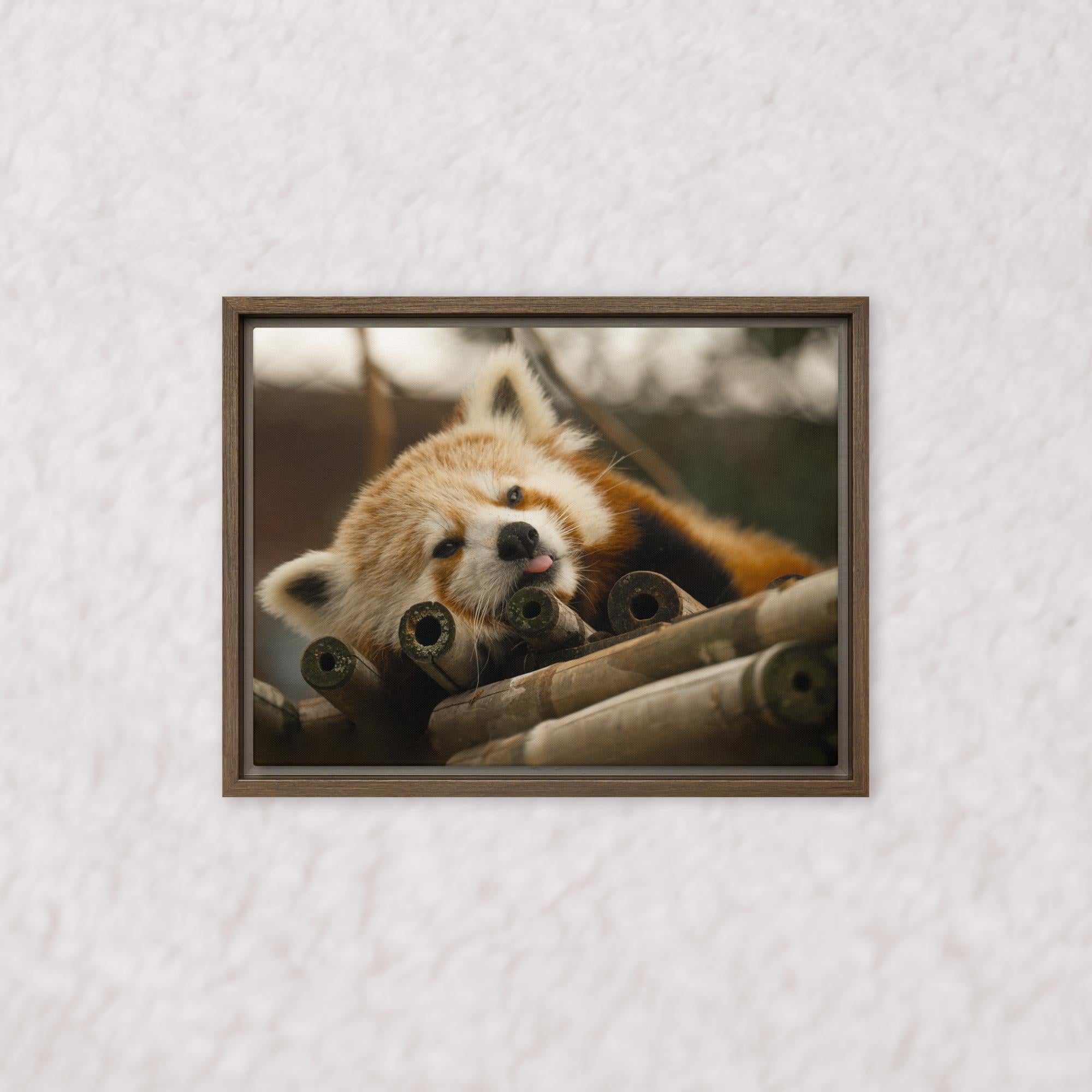 Cradled in Bamboo (Framed)