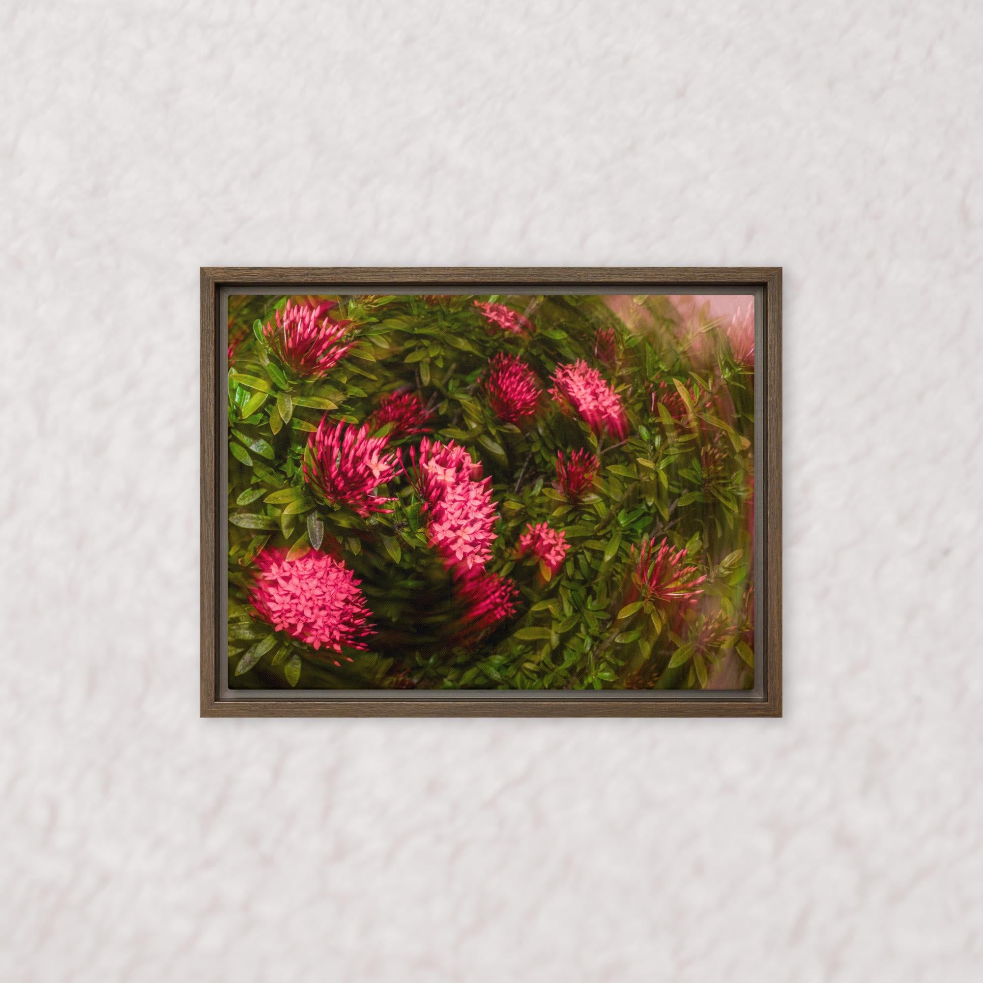 Spiraling Blossoms (Framed)
