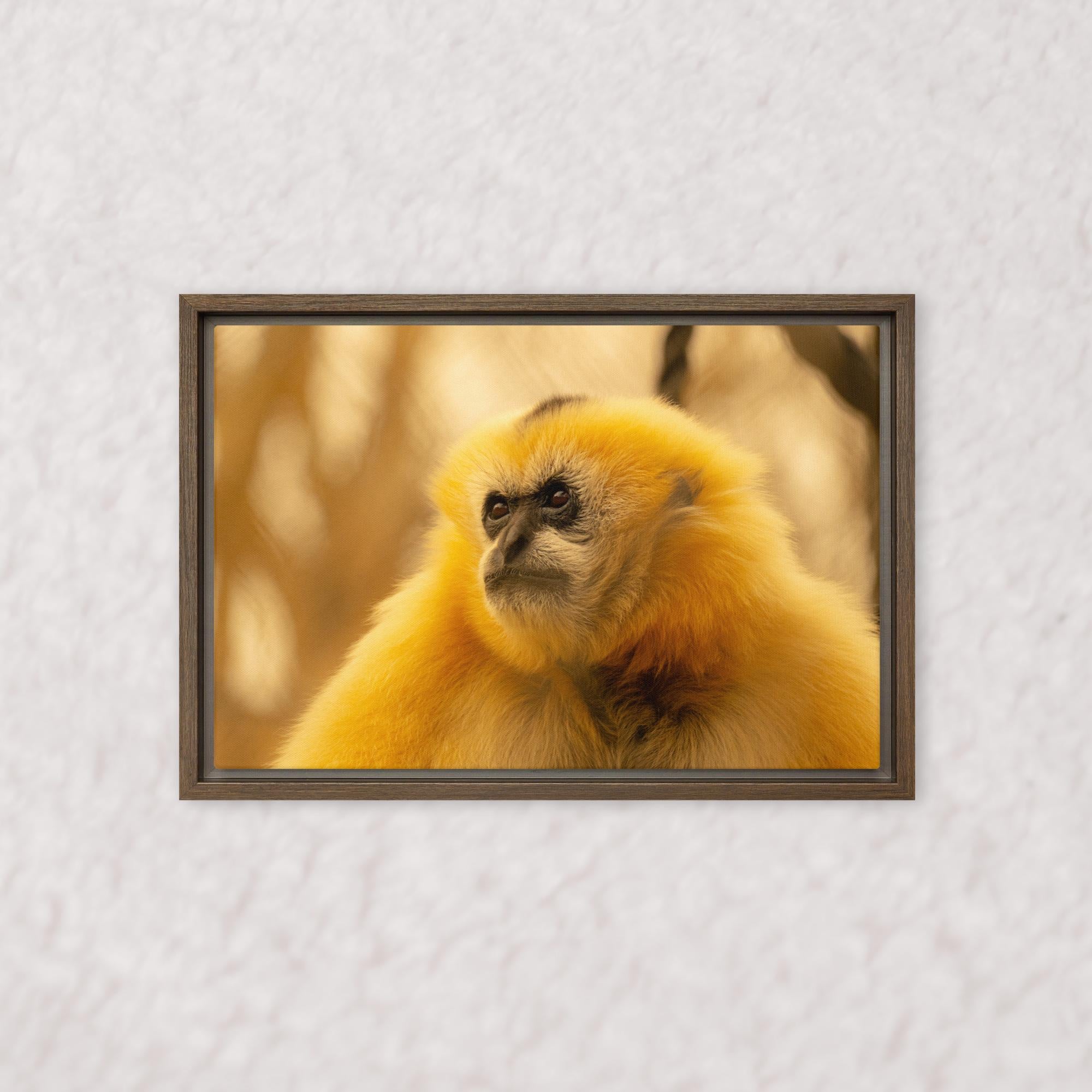 Jungle Gold (Framed)