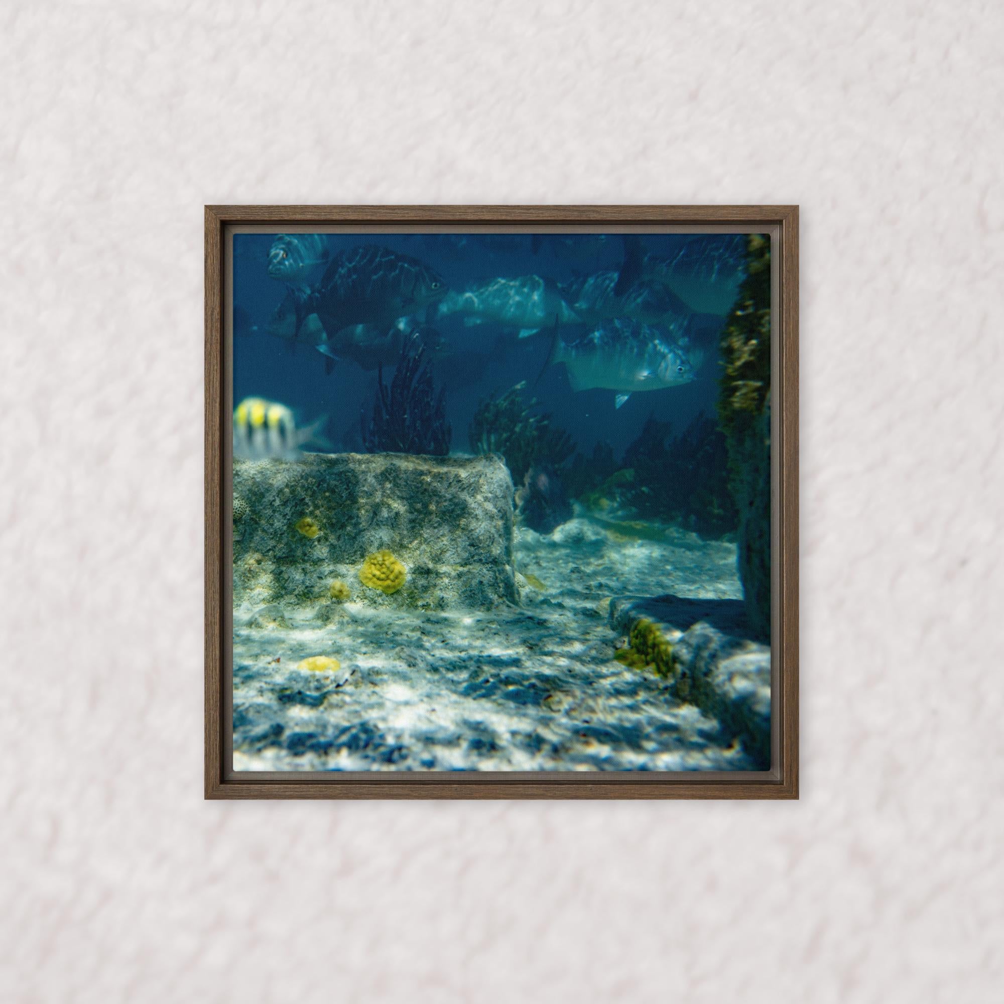 Drifted Depths (Framed)