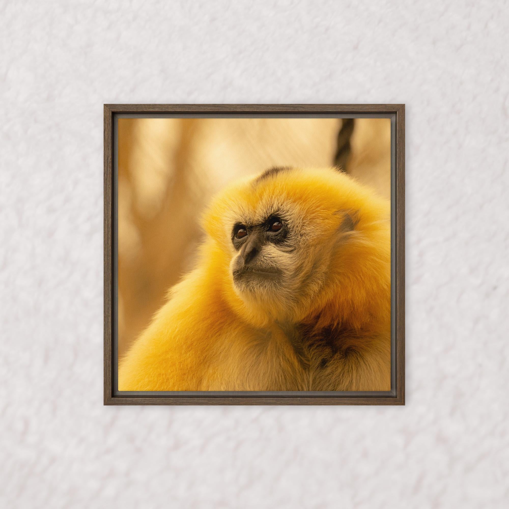 Jungle Gold (Framed)