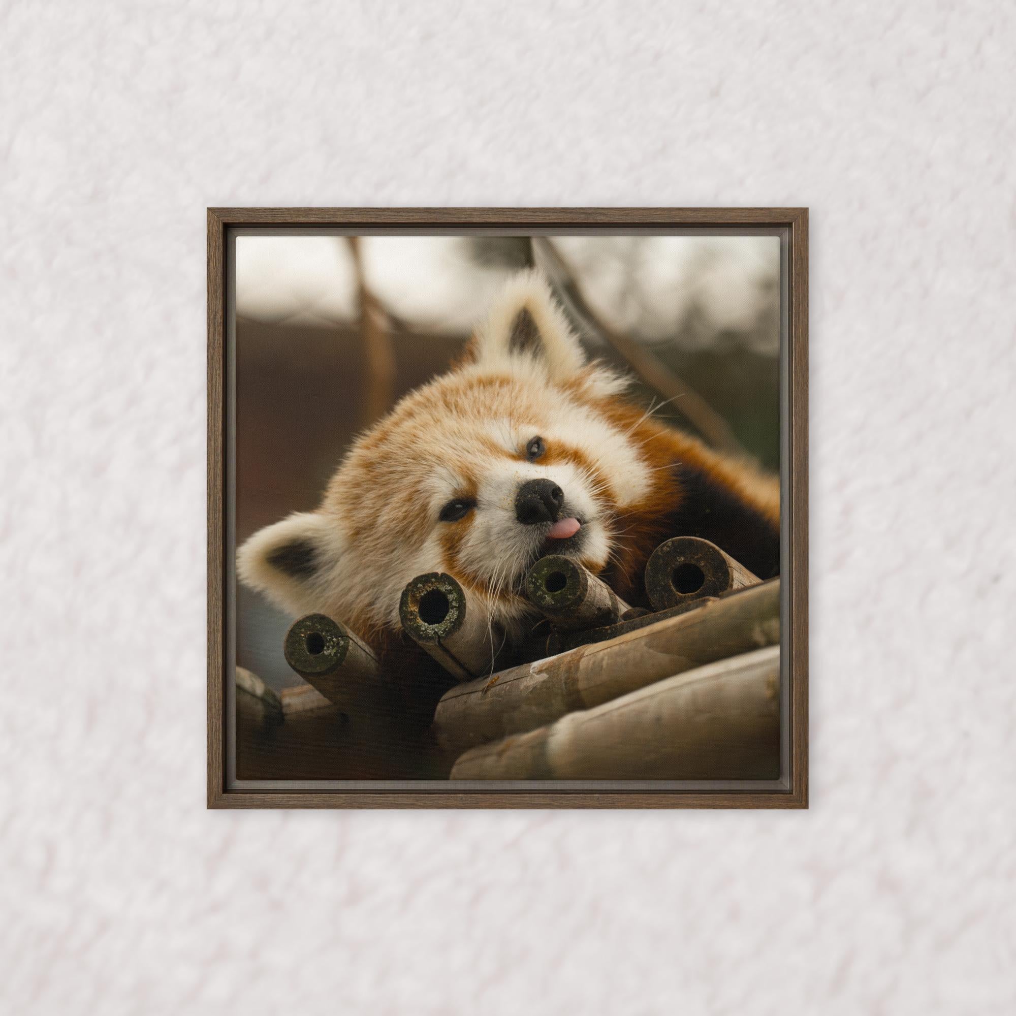 Cradled in Bamboo (Framed)