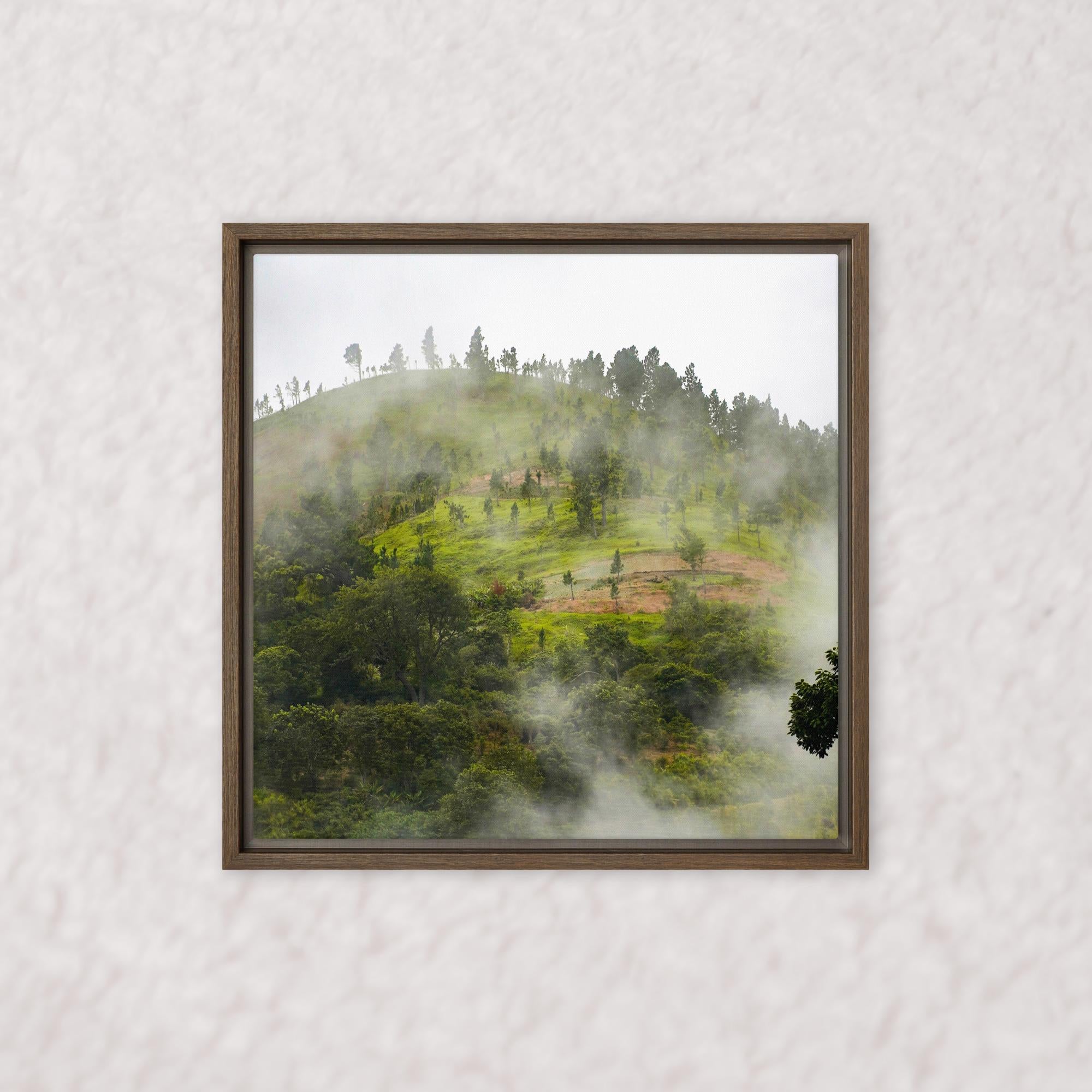 Whispers of the Hill (Framed)