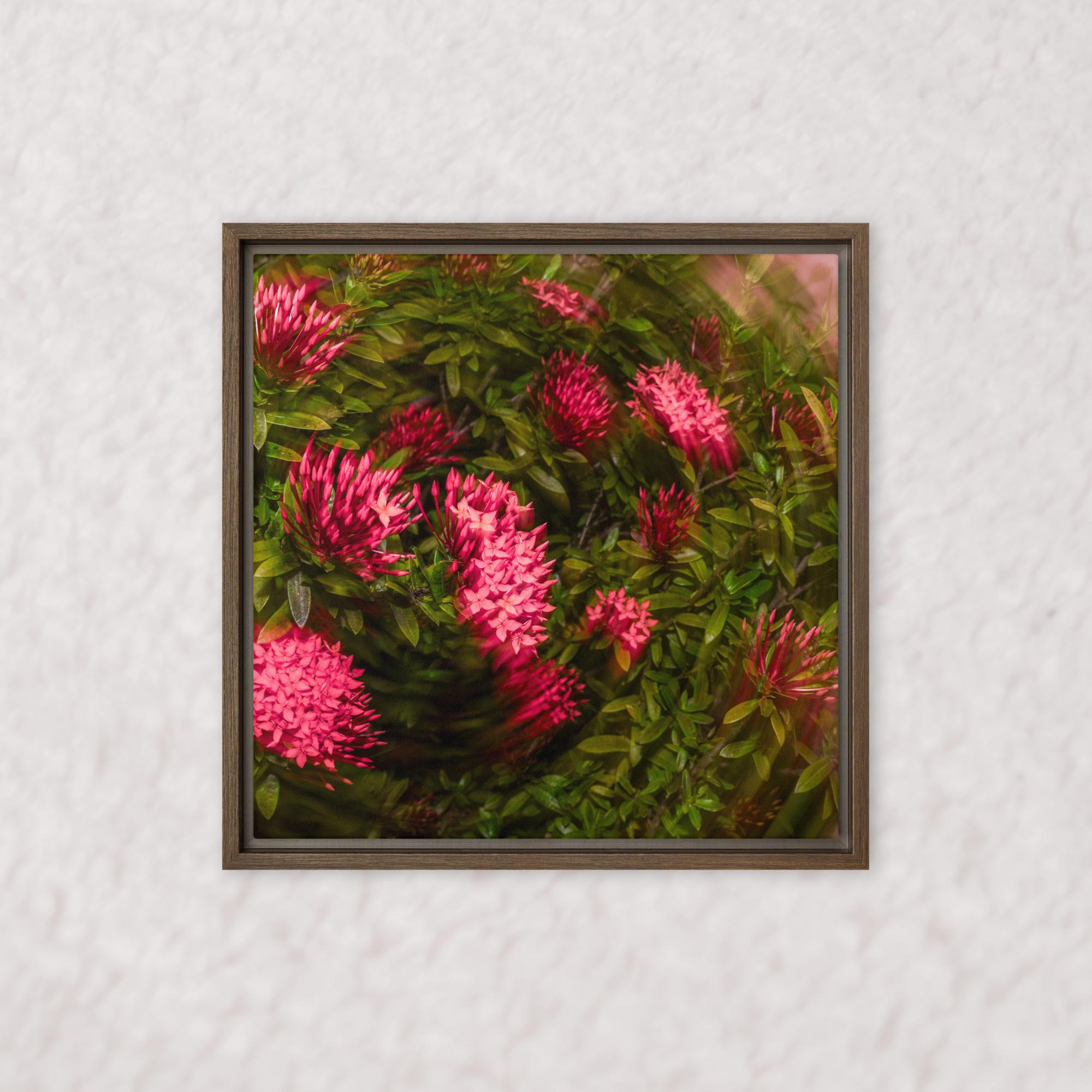 Spiraling Blossoms (Framed)
