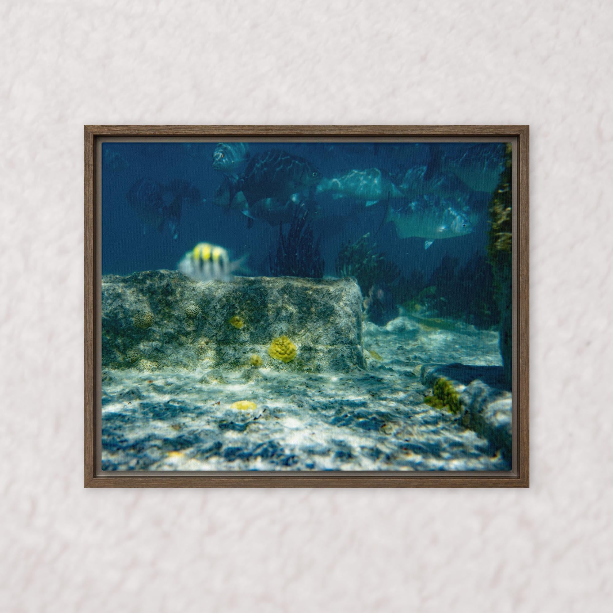 Drifted Depths (Framed)